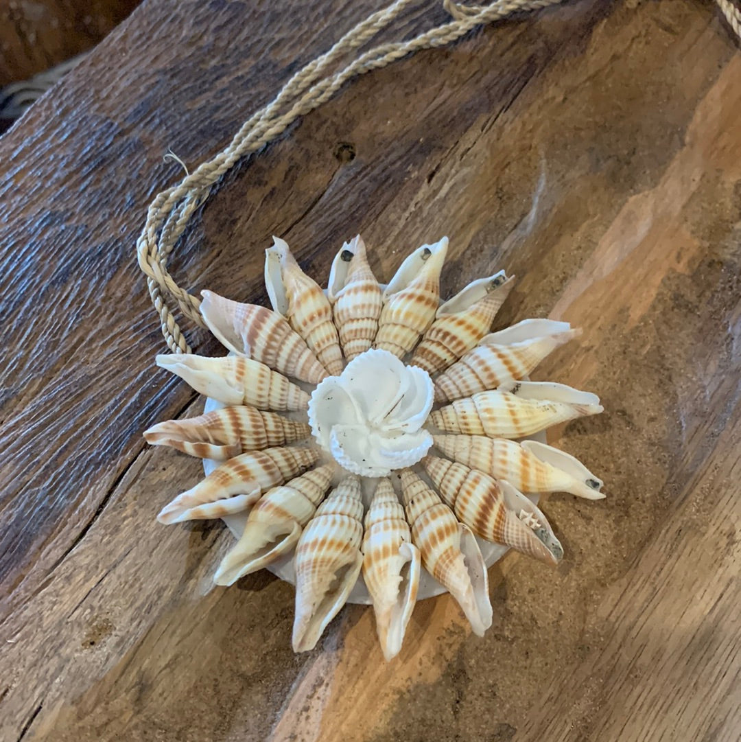 Brown shell decoration. 9cm - Bali Beach Beyond