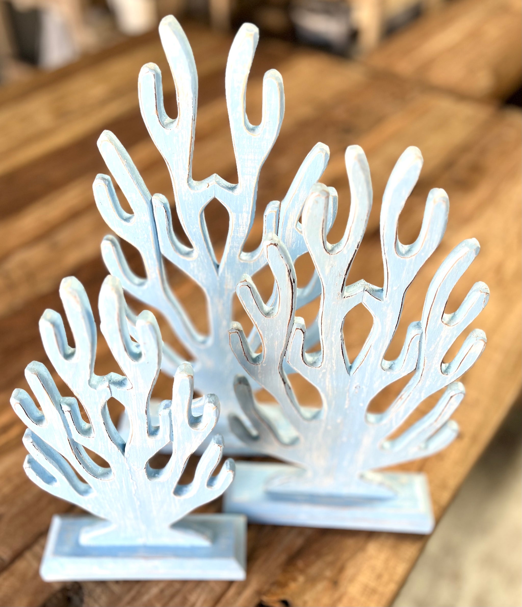 Set 3 timber coral on stand - Bali Beach Beyond