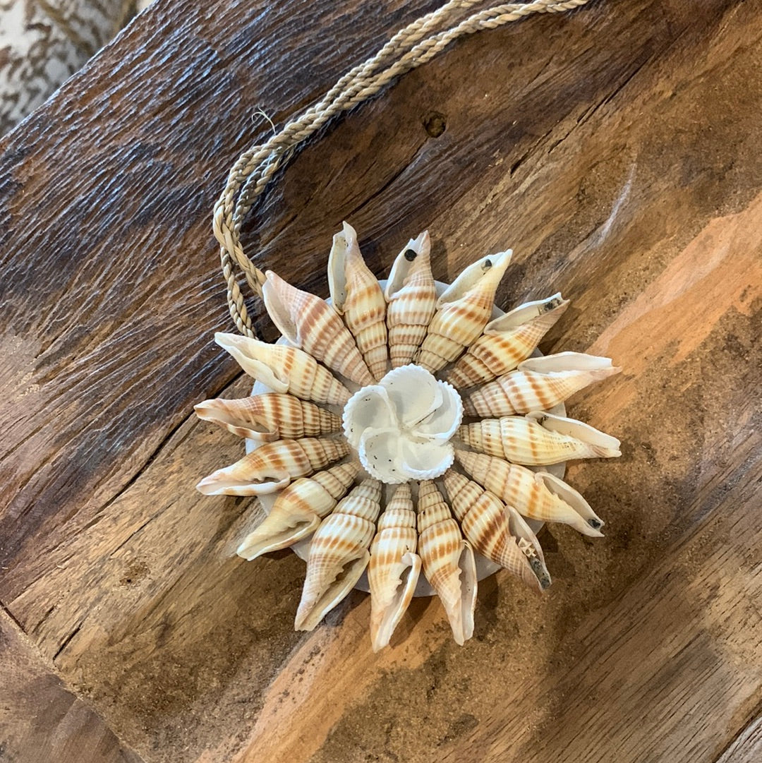 Brown shell decoration. 9cm - Bali Beach Beyond