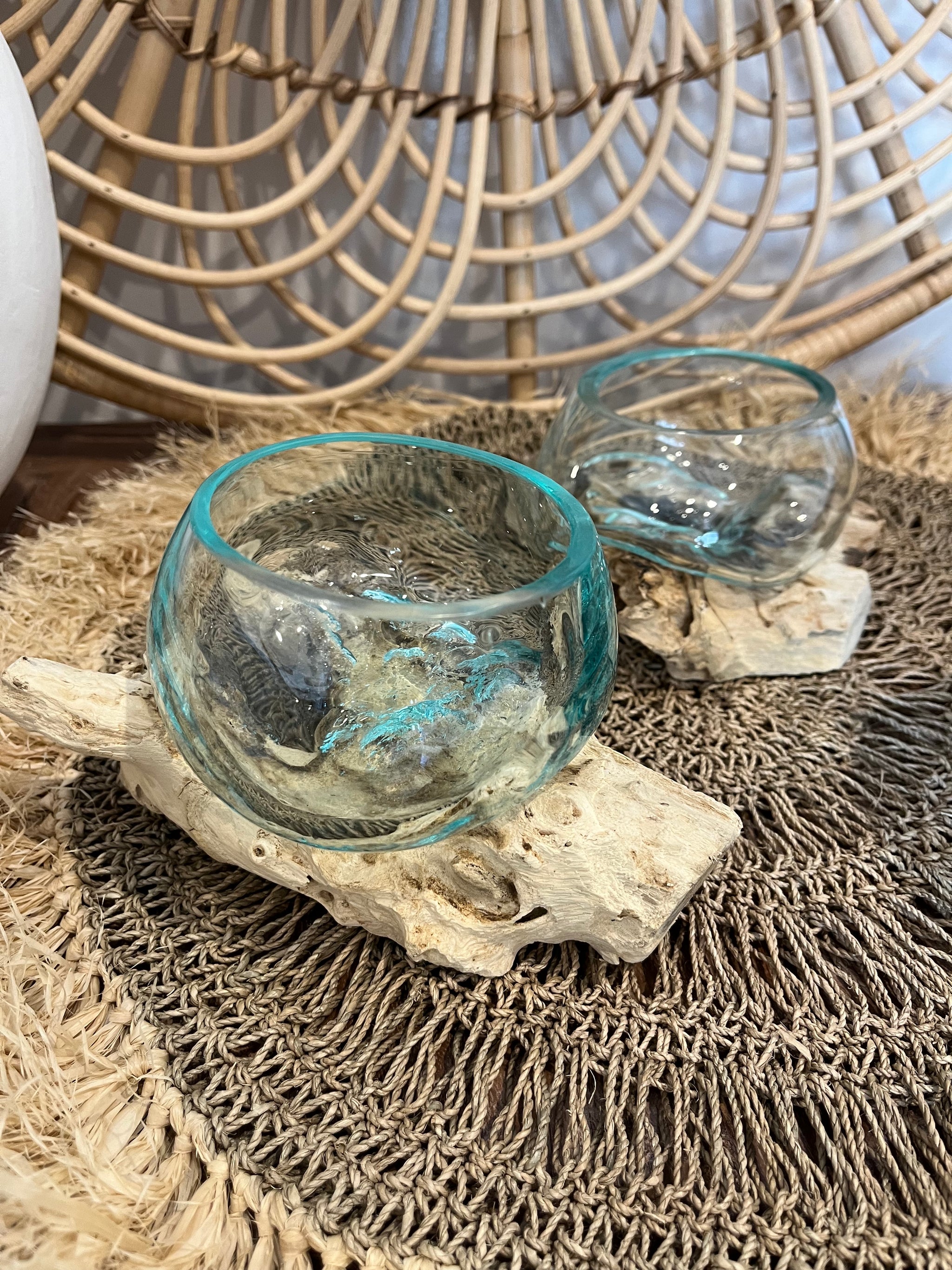 10cm aquarium / terranium. - Bali Beach Beyond