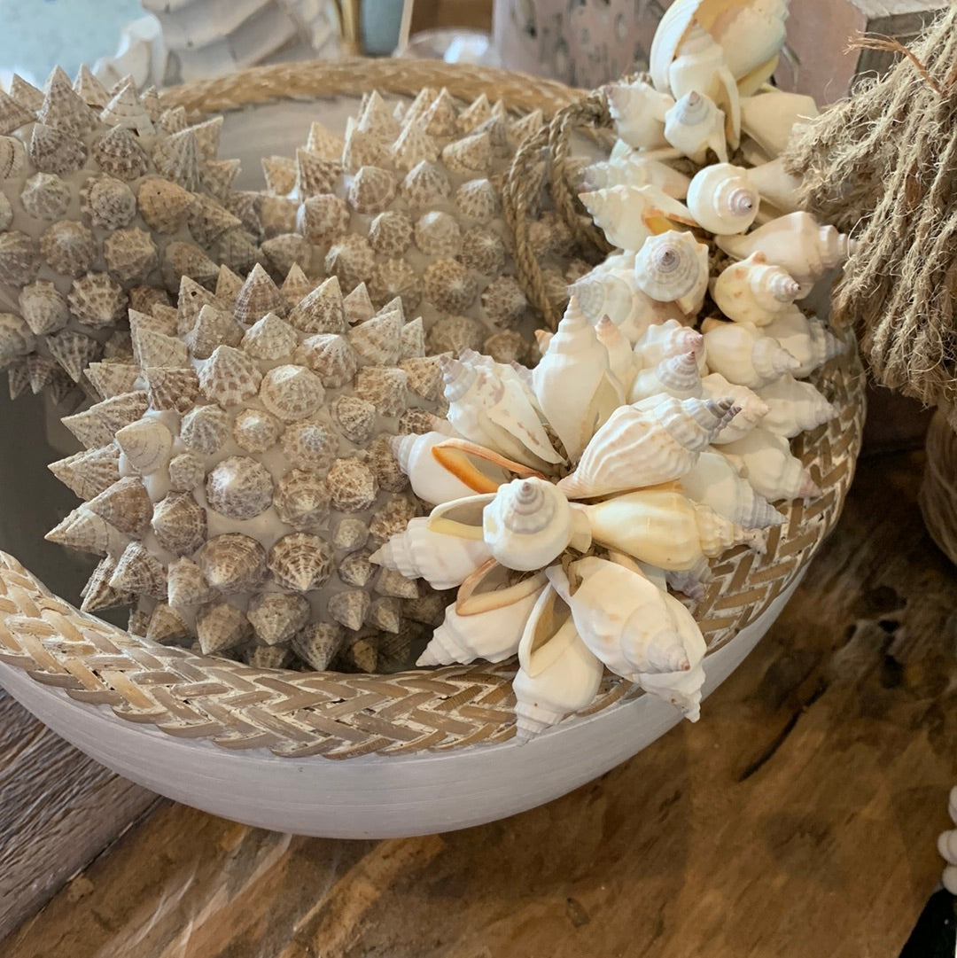 White shell cluster. Style 2 - Bali Beach Beyond