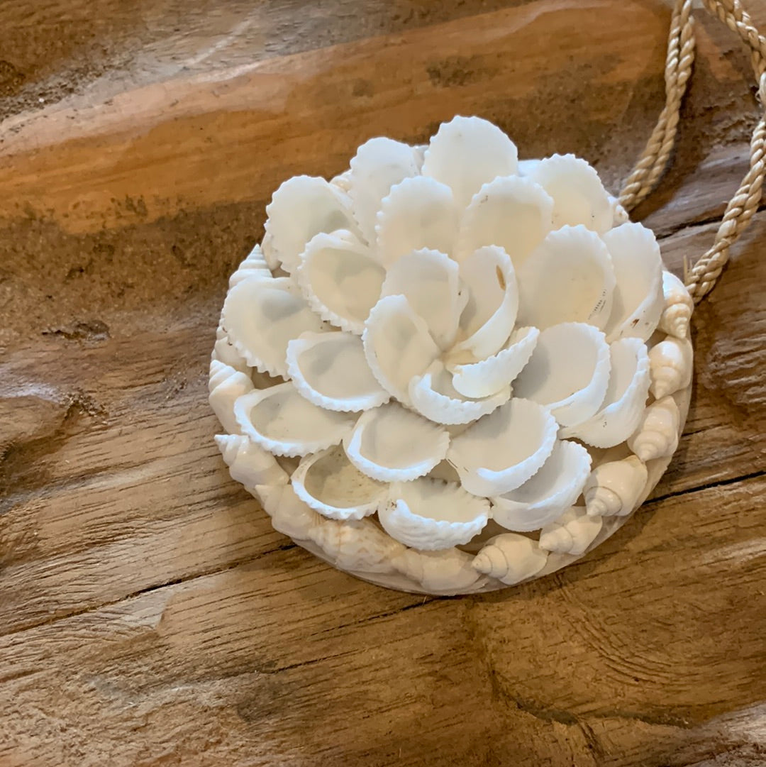 White decorative shell decoration. 7cm - Bali Beach Beyond
