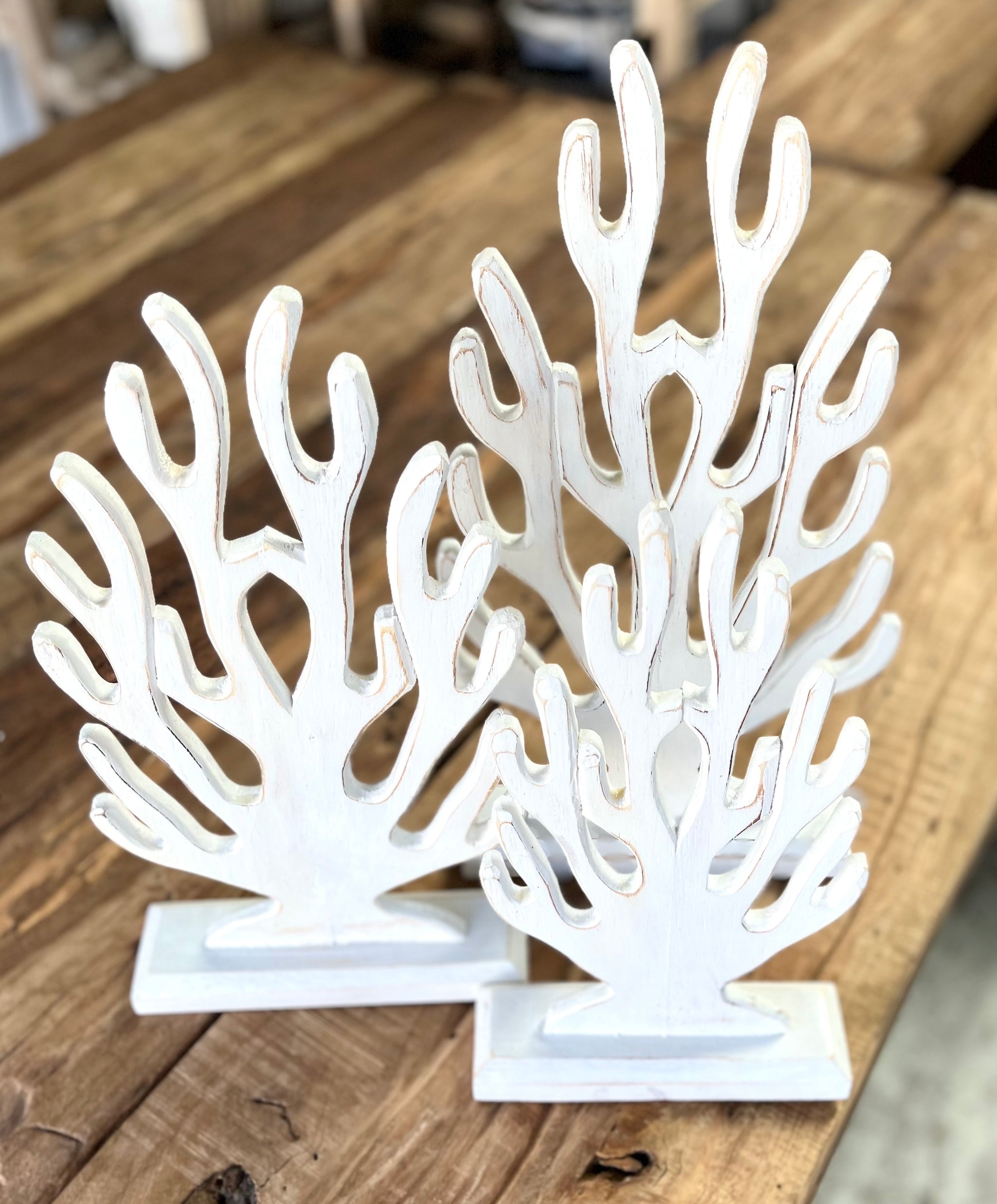 Set 3 timber coral on stand - Bali Beach Beyond