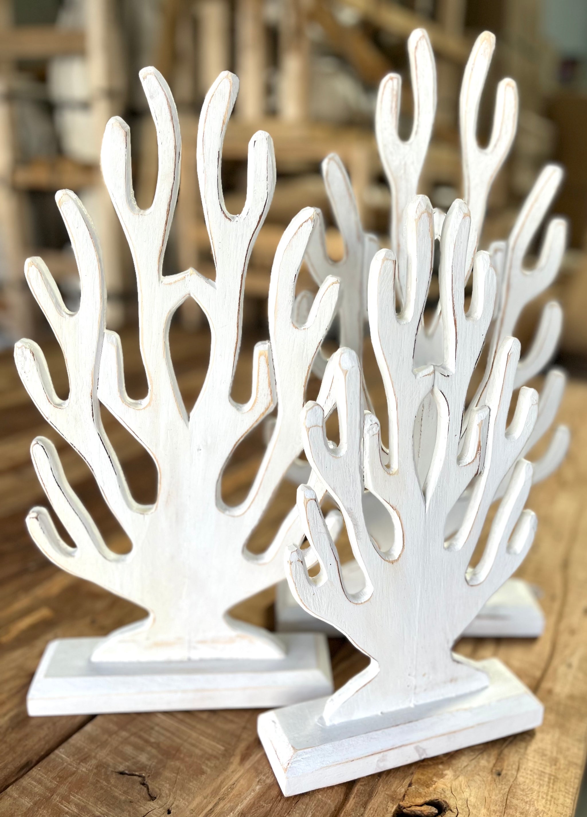 Set 3 timber coral on stand - Bali Beach Beyond