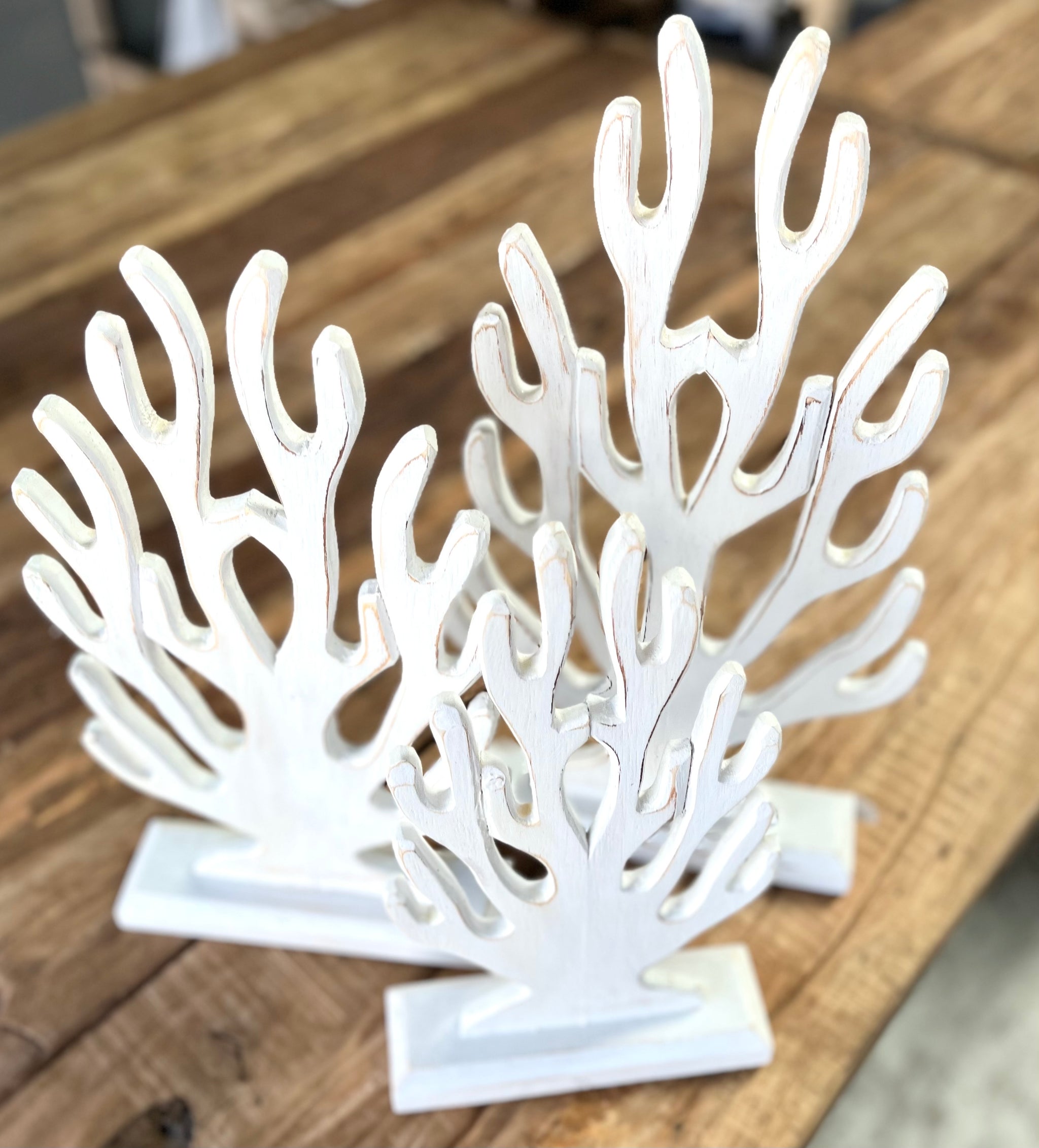 Set 3 timber coral on stand - Bali Beach Beyond