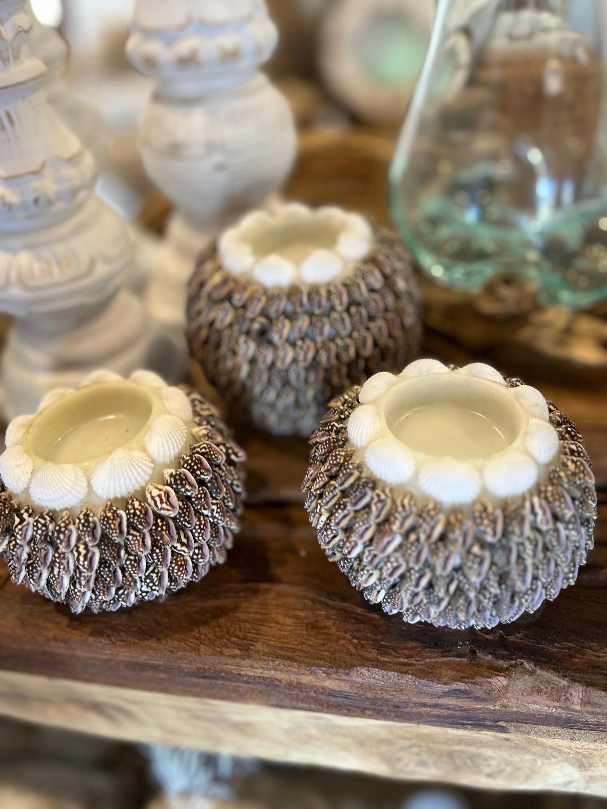 Set 3 dark shell tea light / candle holder - Bali Beach Beyond