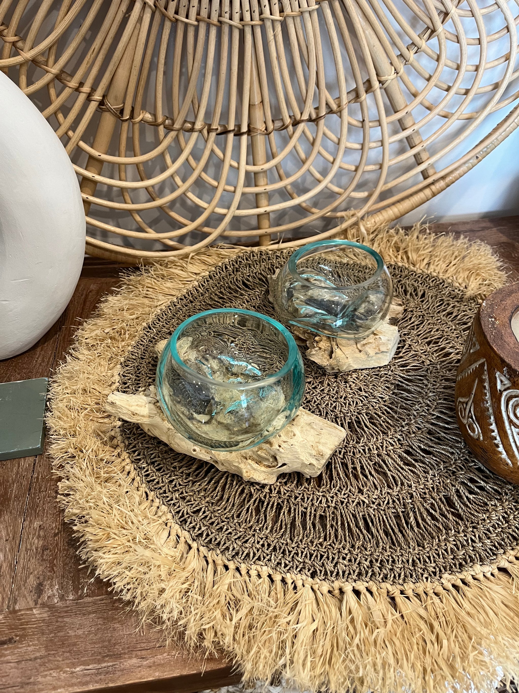 10cm aquarium / terranium. - Bali Beach Beyond