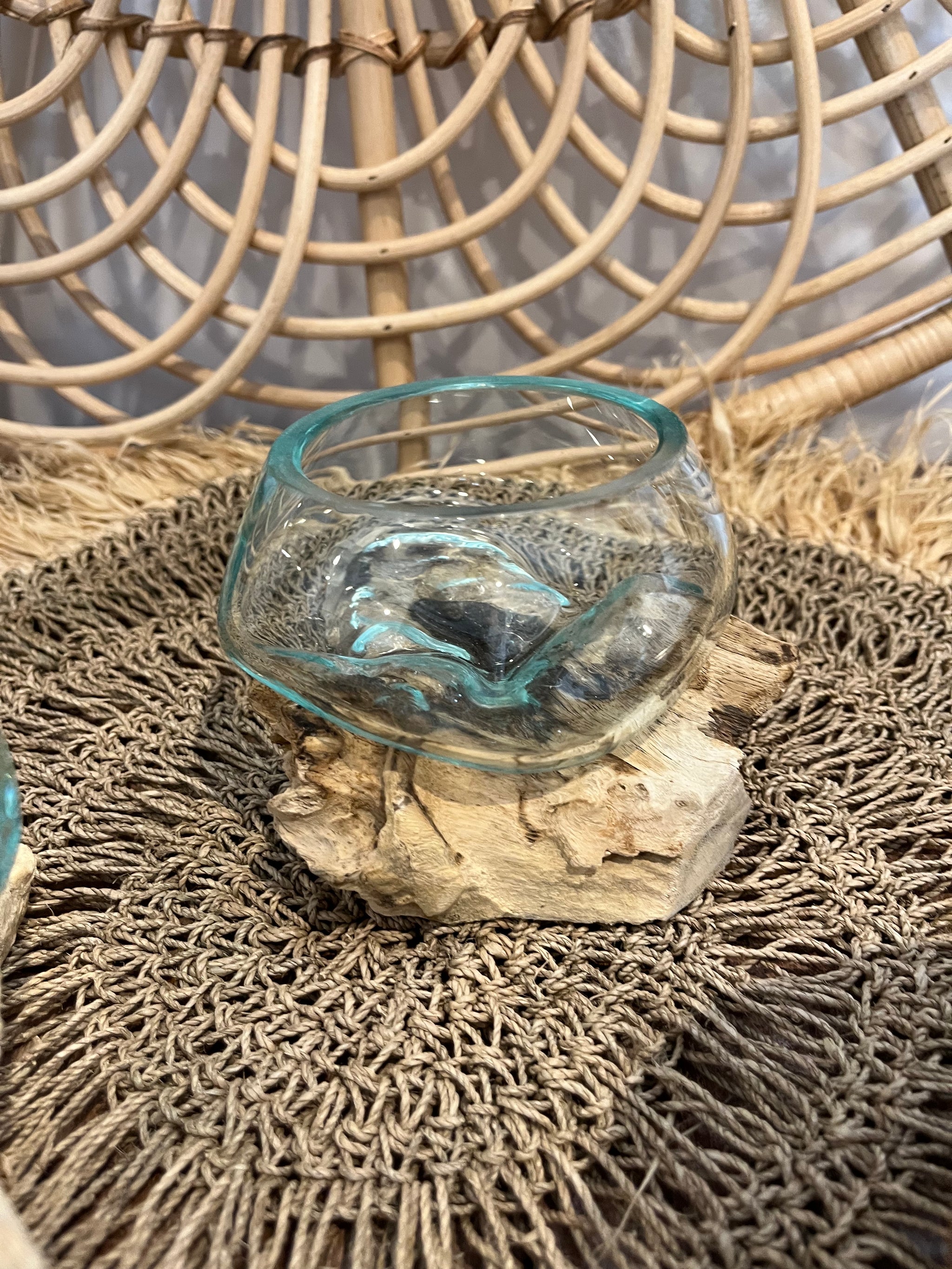 10cm aquarium / terranium. - Bali Beach Beyond