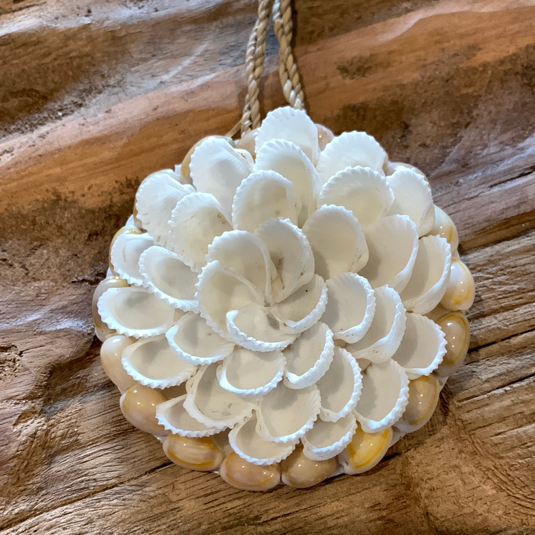 White decorative shell decoration. 7cm style 2 - Bali Beach Beyond