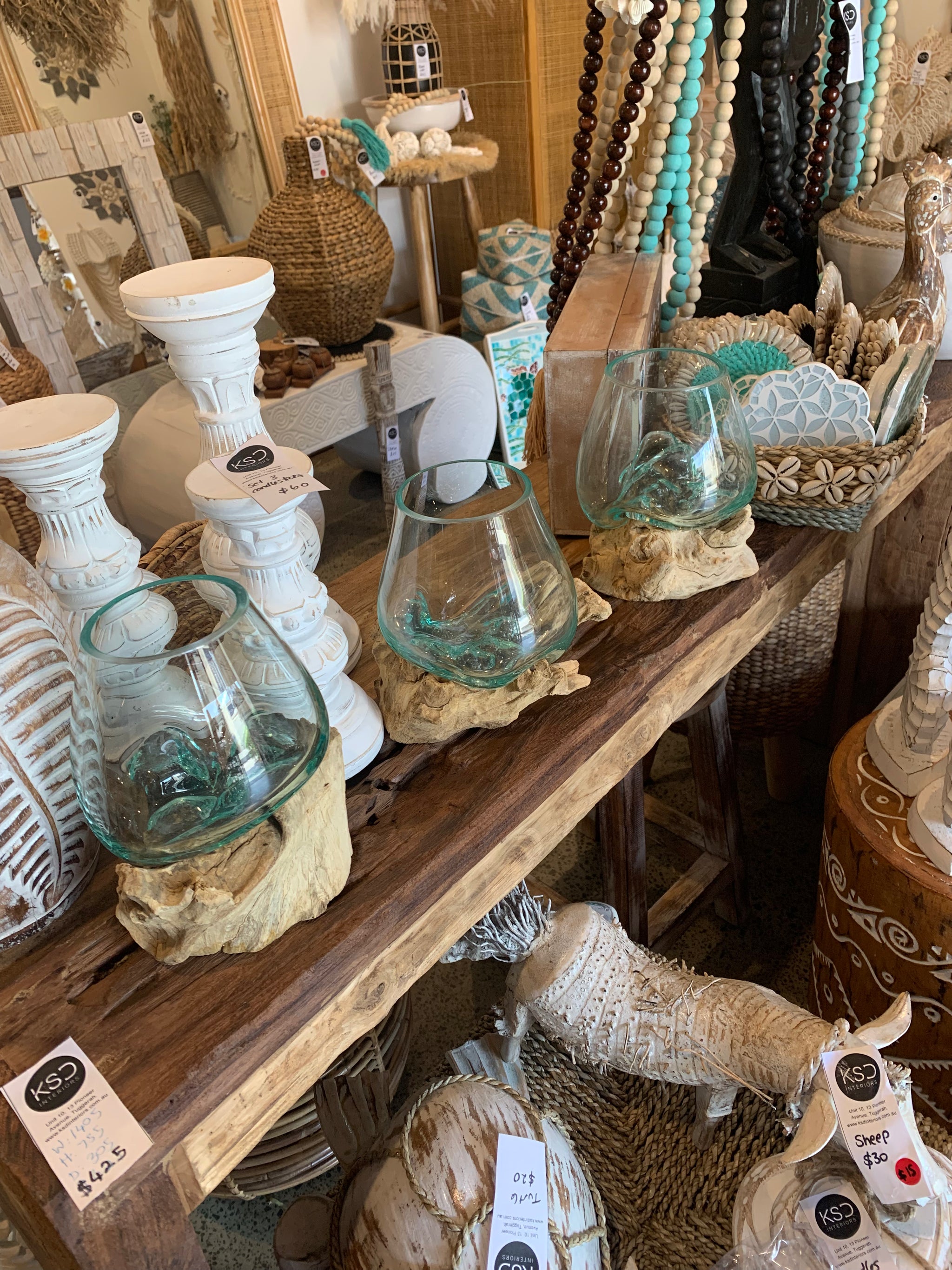 13cm aquarium / terranium. - Bali Beach Beyond