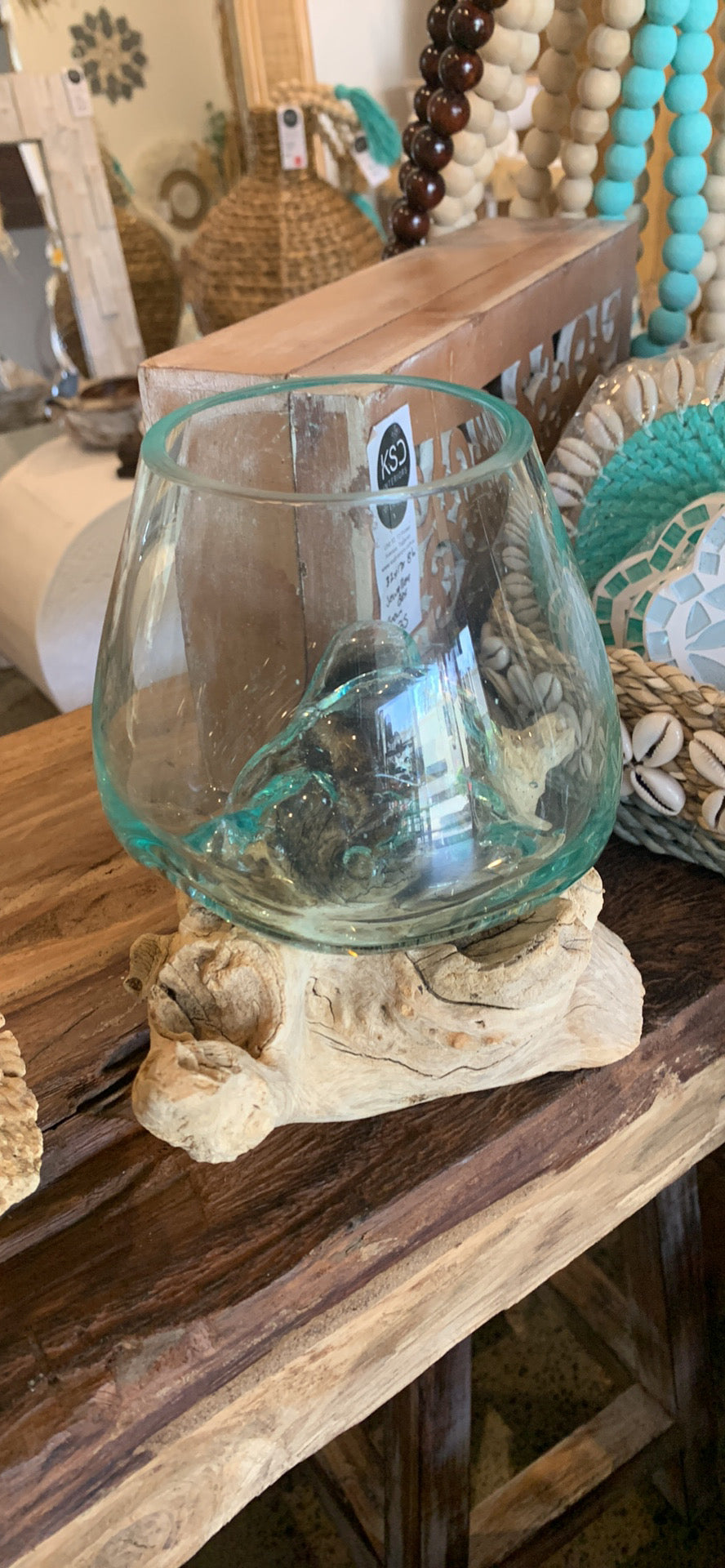 13cm aquarium / terranium. - Bali Beach Beyond