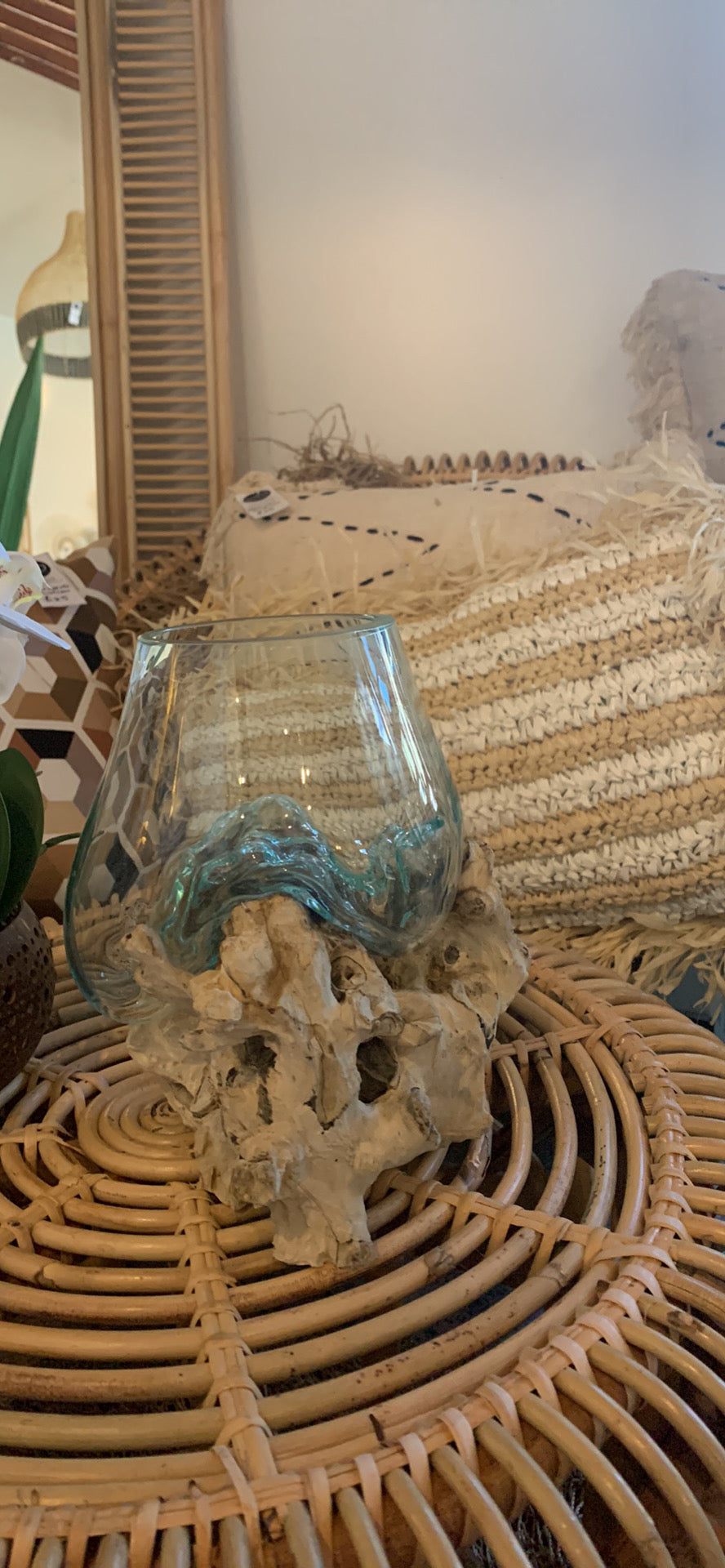 13cm aquarium / terranium. - Bali Beach Beyond