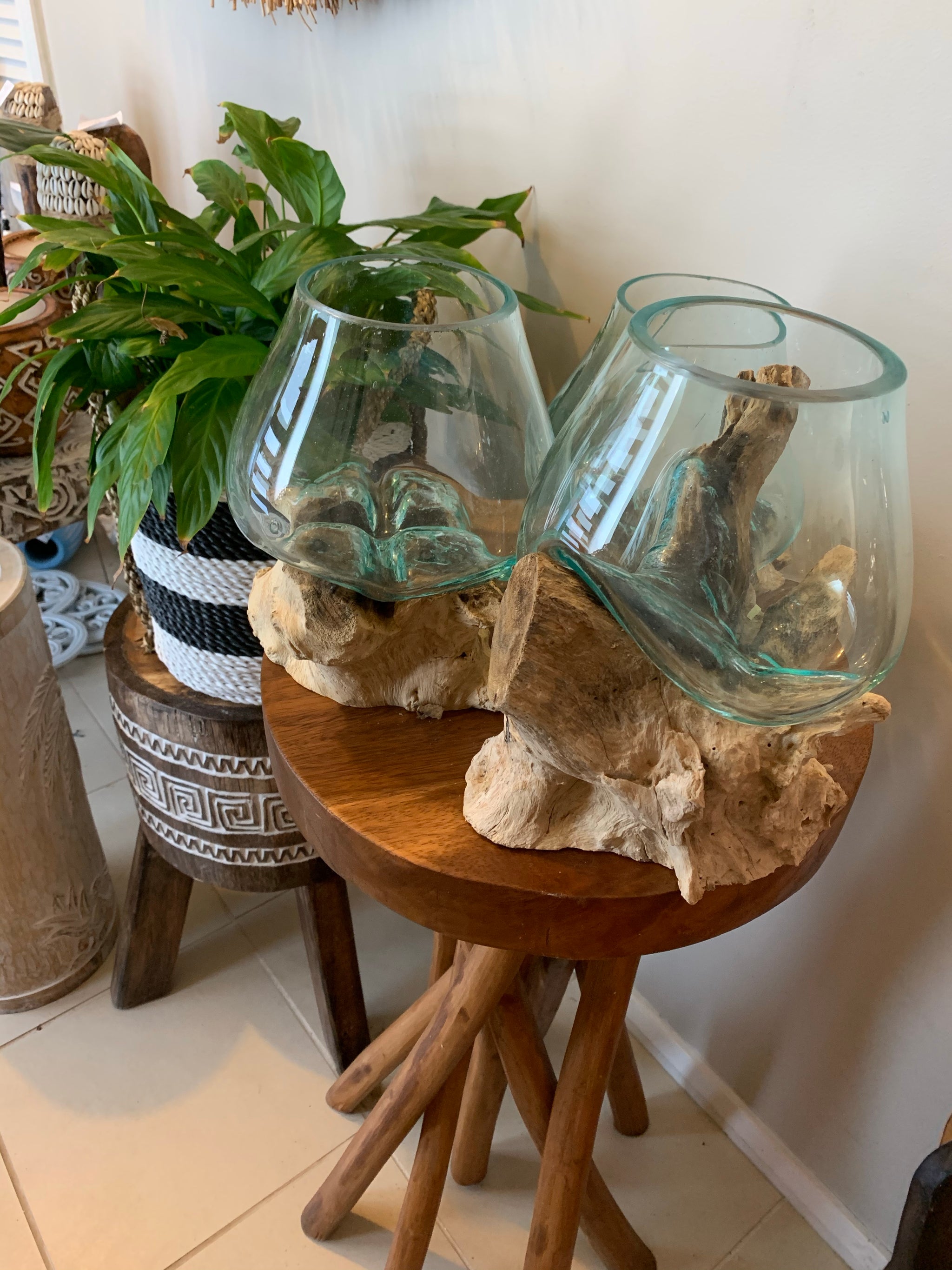 13cm aquarium / terranium. - Bali Beach Beyond