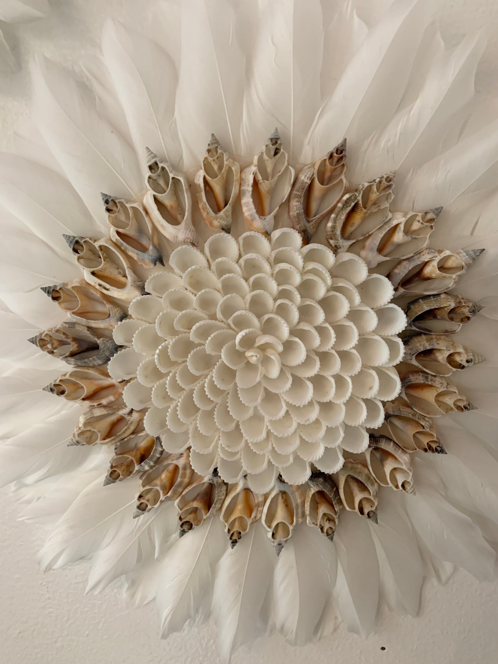 Set 3 white juju with darker shell. - Bali Beach Beyond