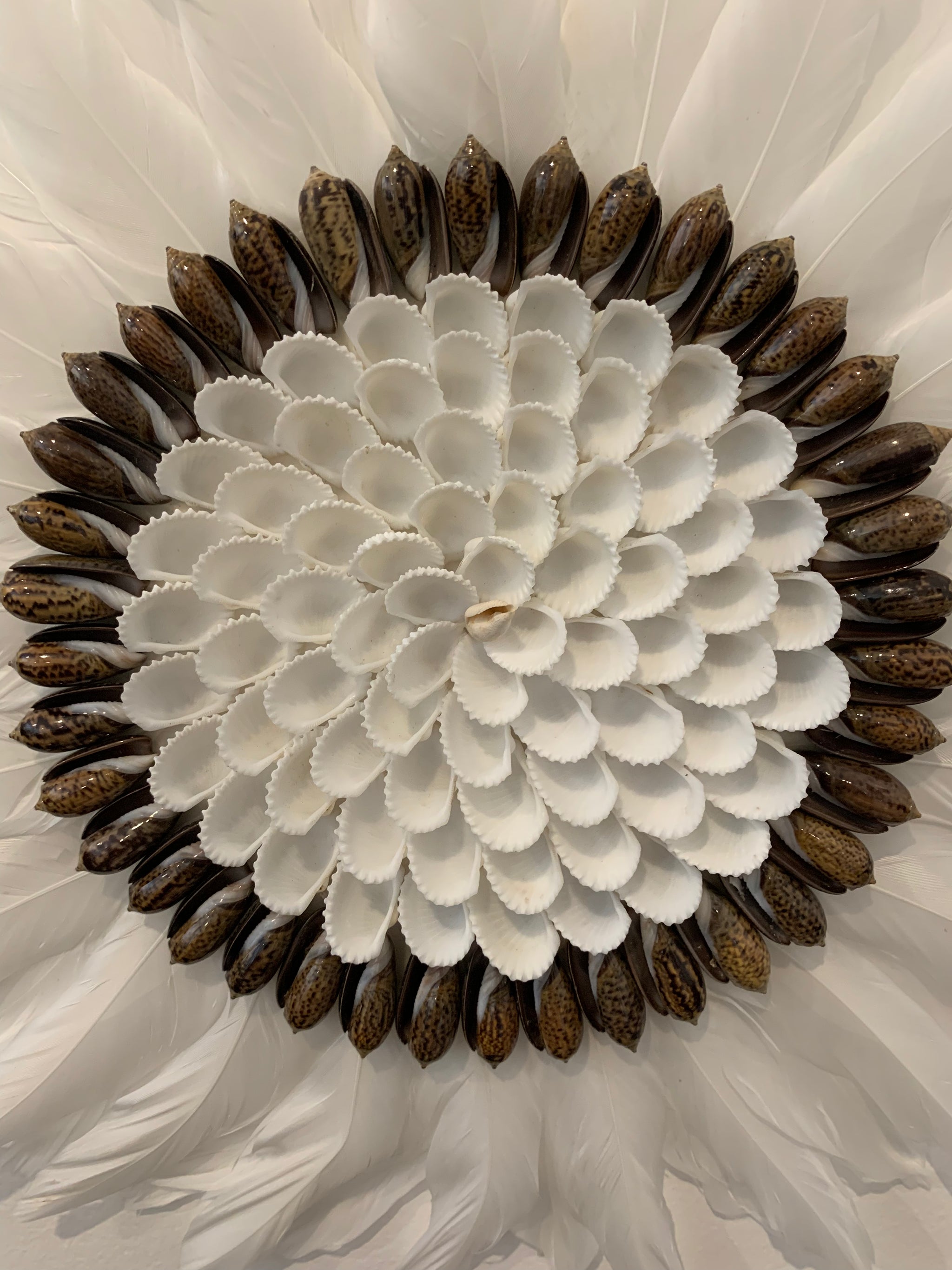 White juju with dark brown shells 30cm - Bali Beach Beyond