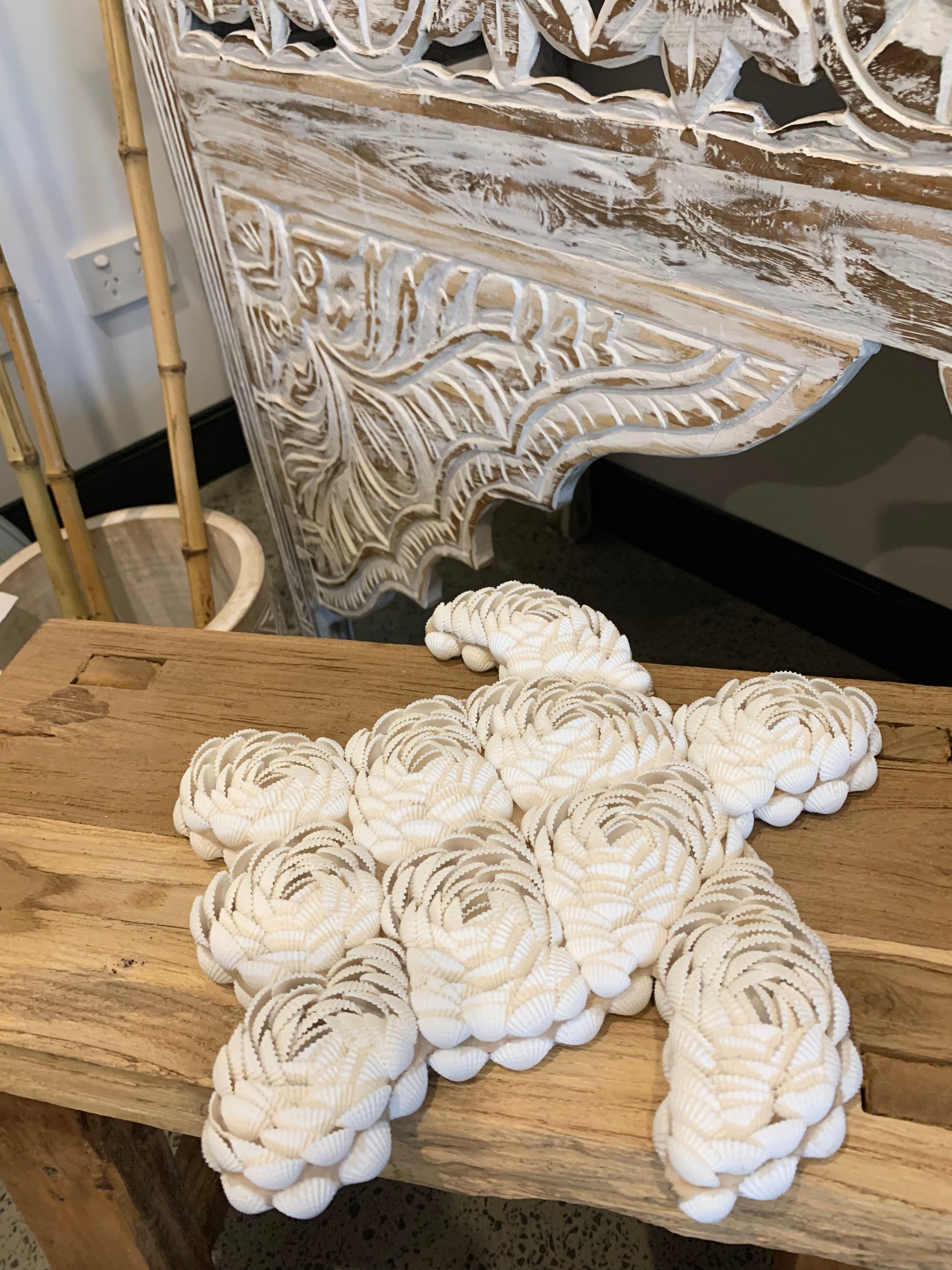 Shell turtle - Bali Beach Beyond