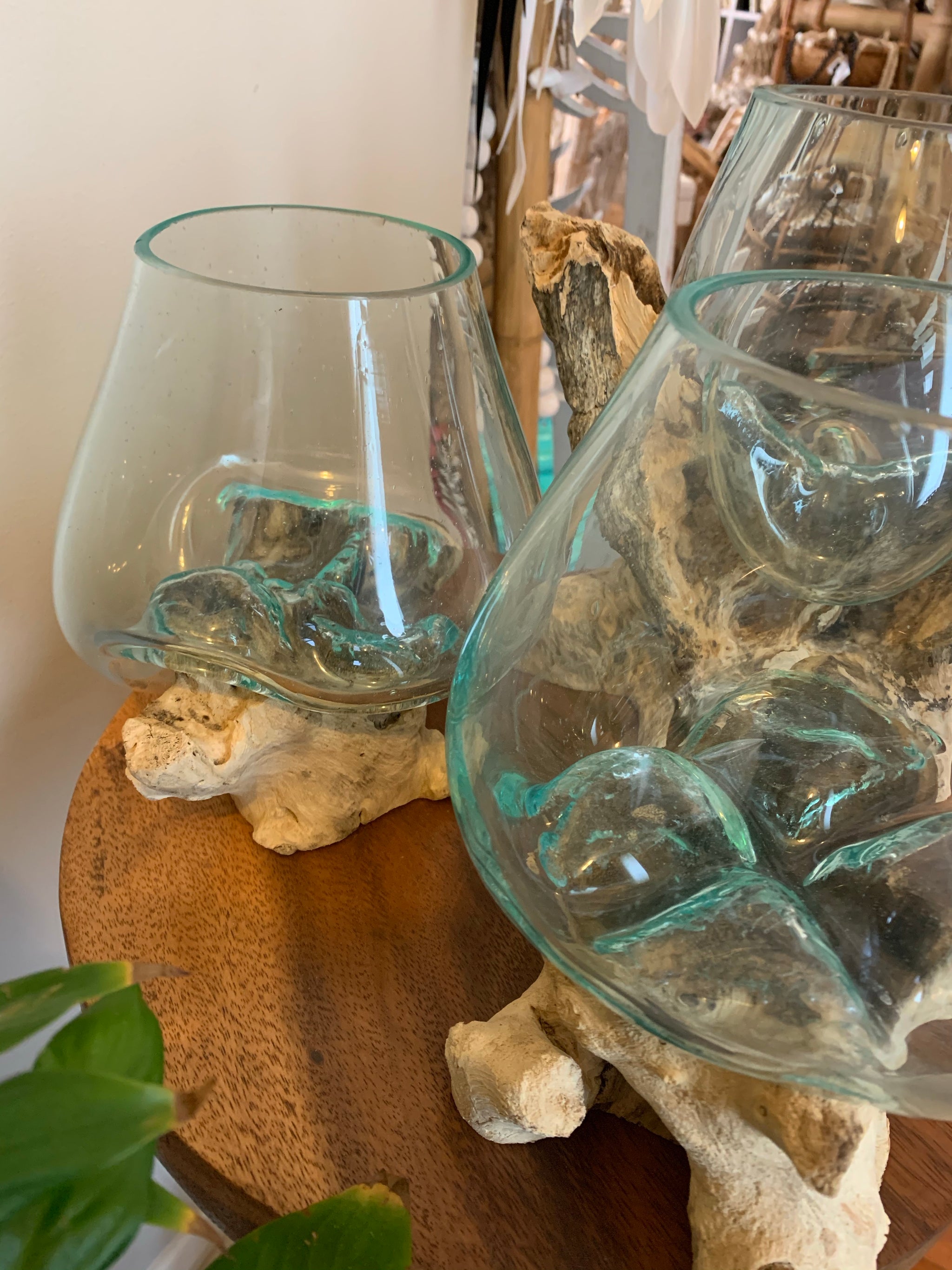 13cm aquarium / terranium. - Bali Beach Beyond