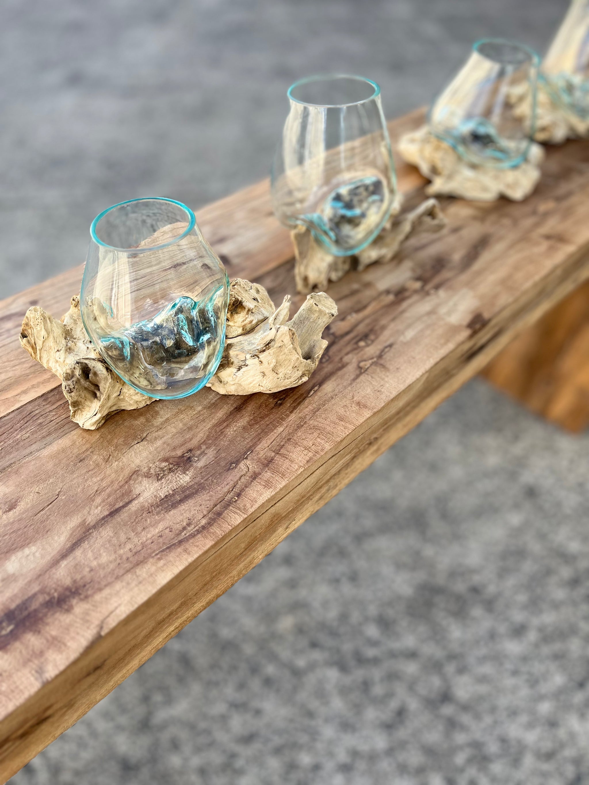 10cm aquarium / terranium. - Bali Beach Beyond