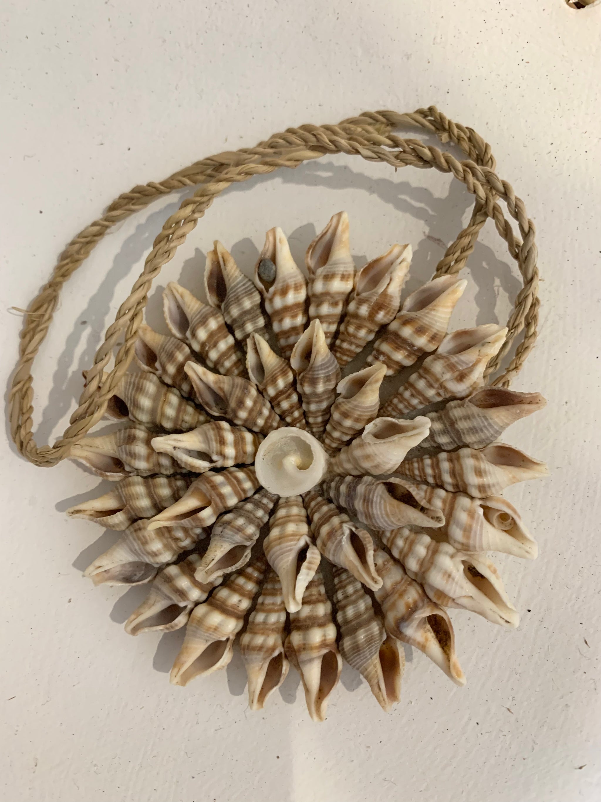 Brown shell decoration. 8cm - Bali Beach Beyond