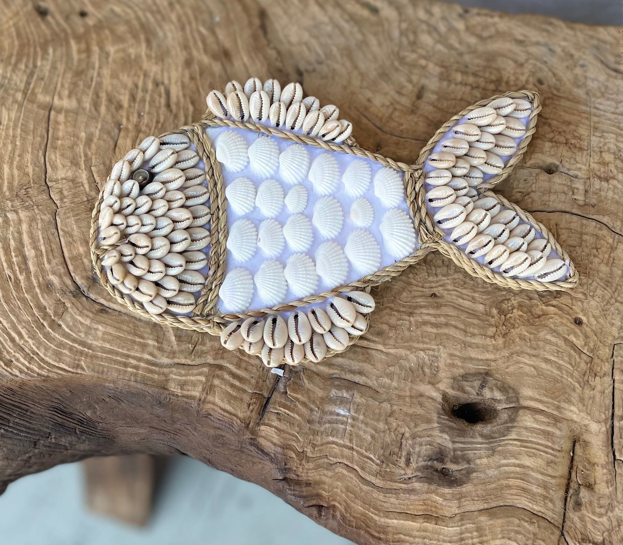 Shell fish hanging / decoration. White and natural. Set of 4 - Bali Beach Beyond