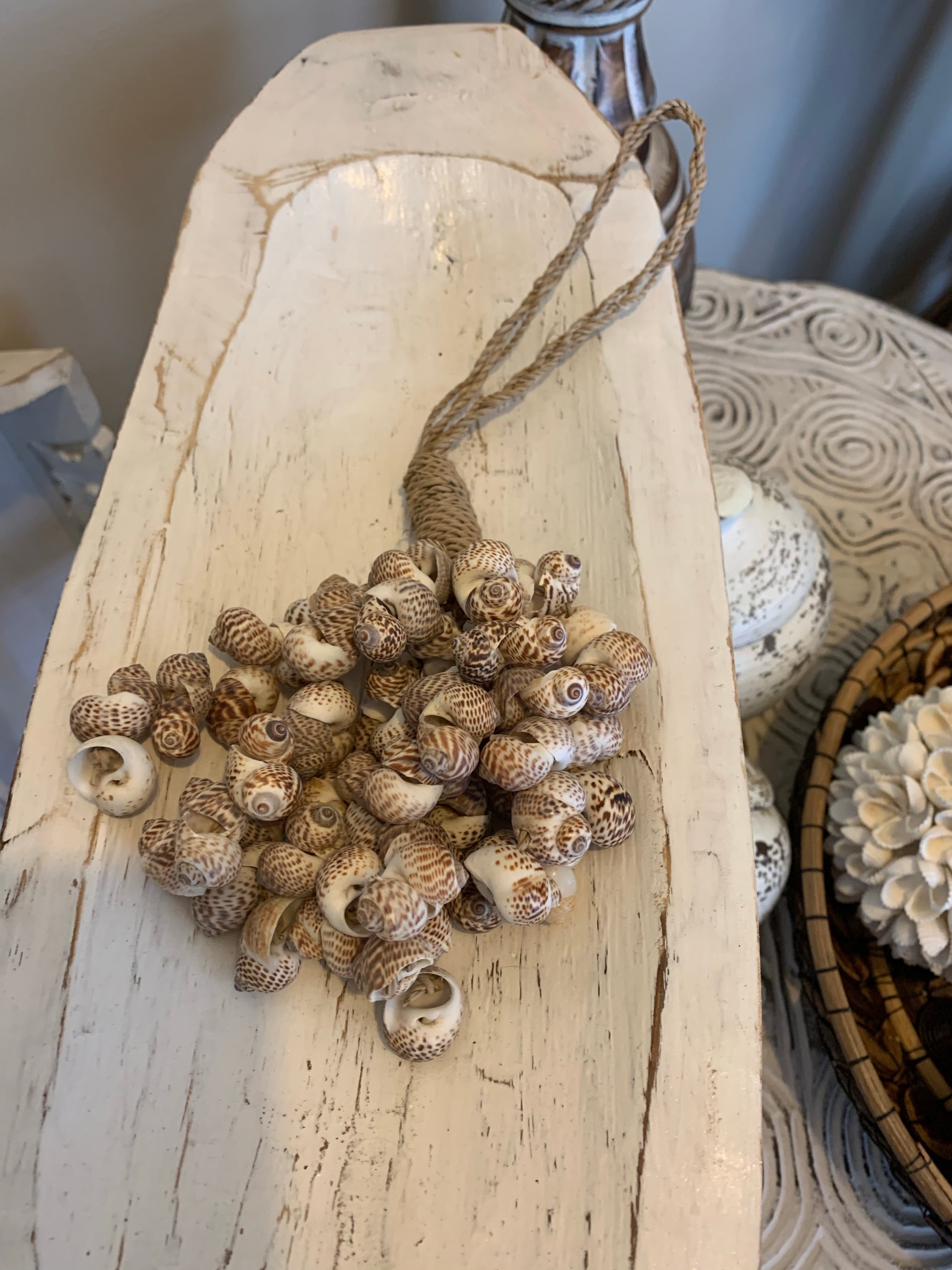 Shell cluster brown - Bali Beach Beyond