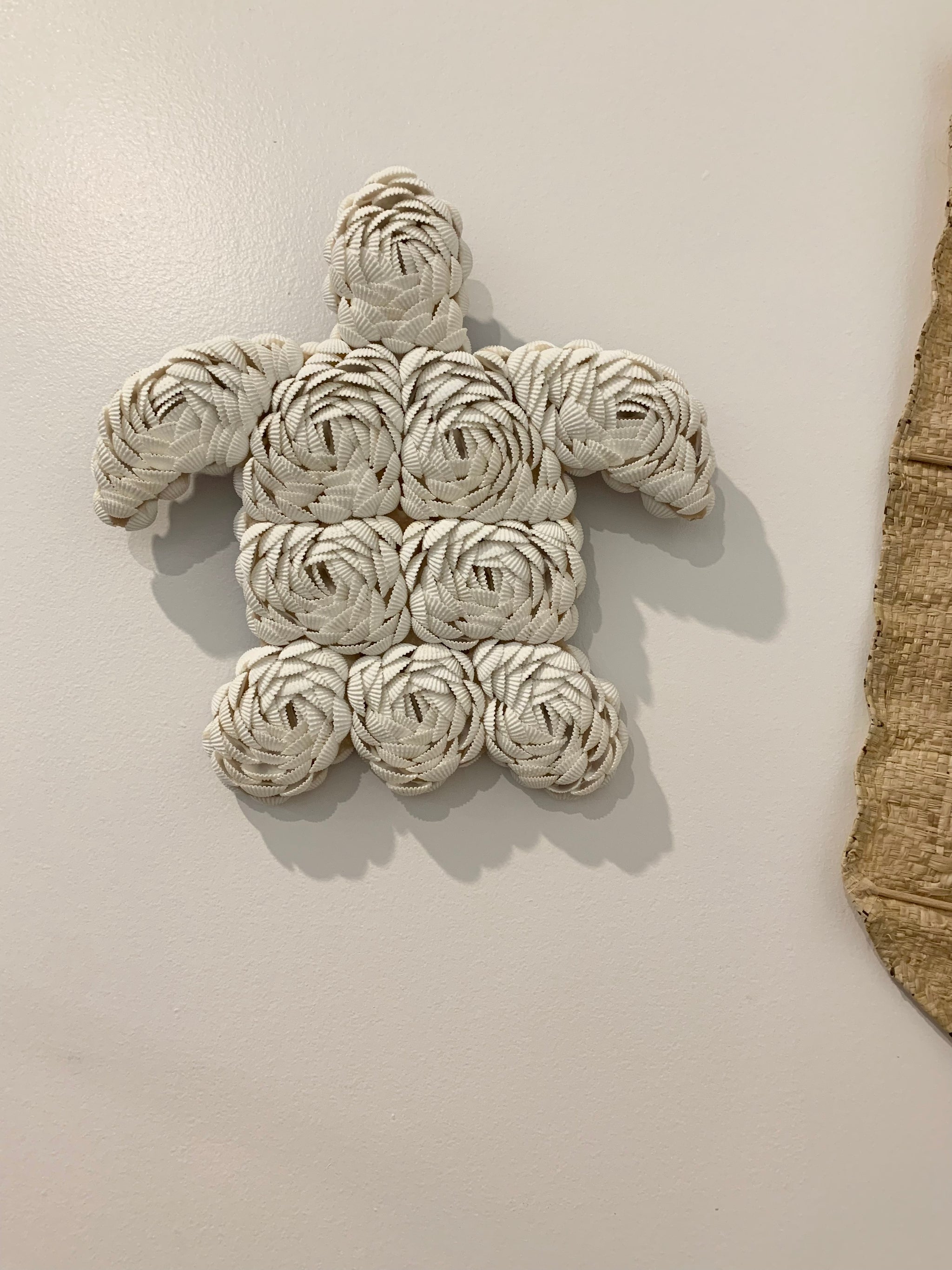 Shell turtle - Bali Beach Beyond