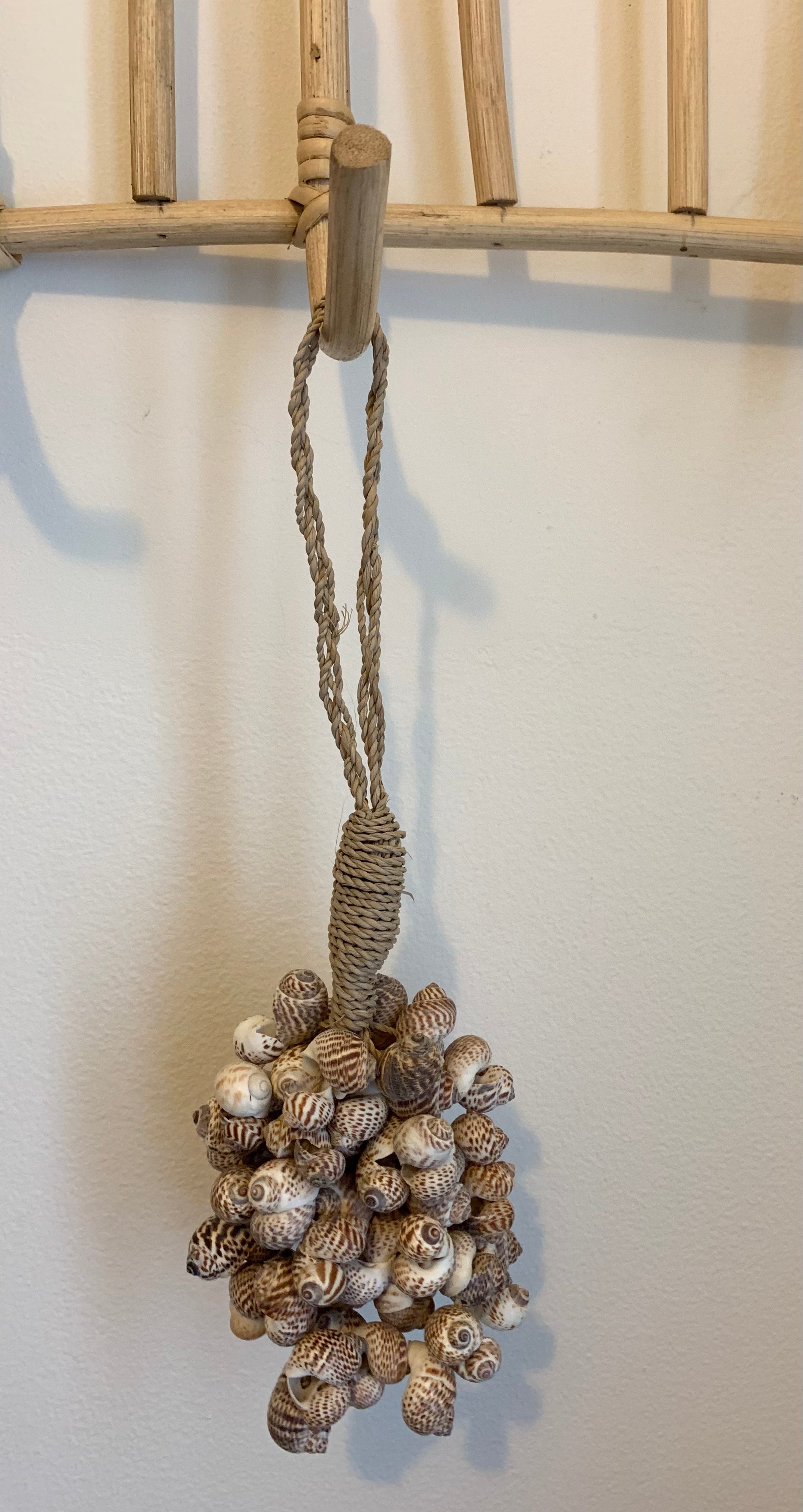 Shell cluster brown - Bali Beach Beyond