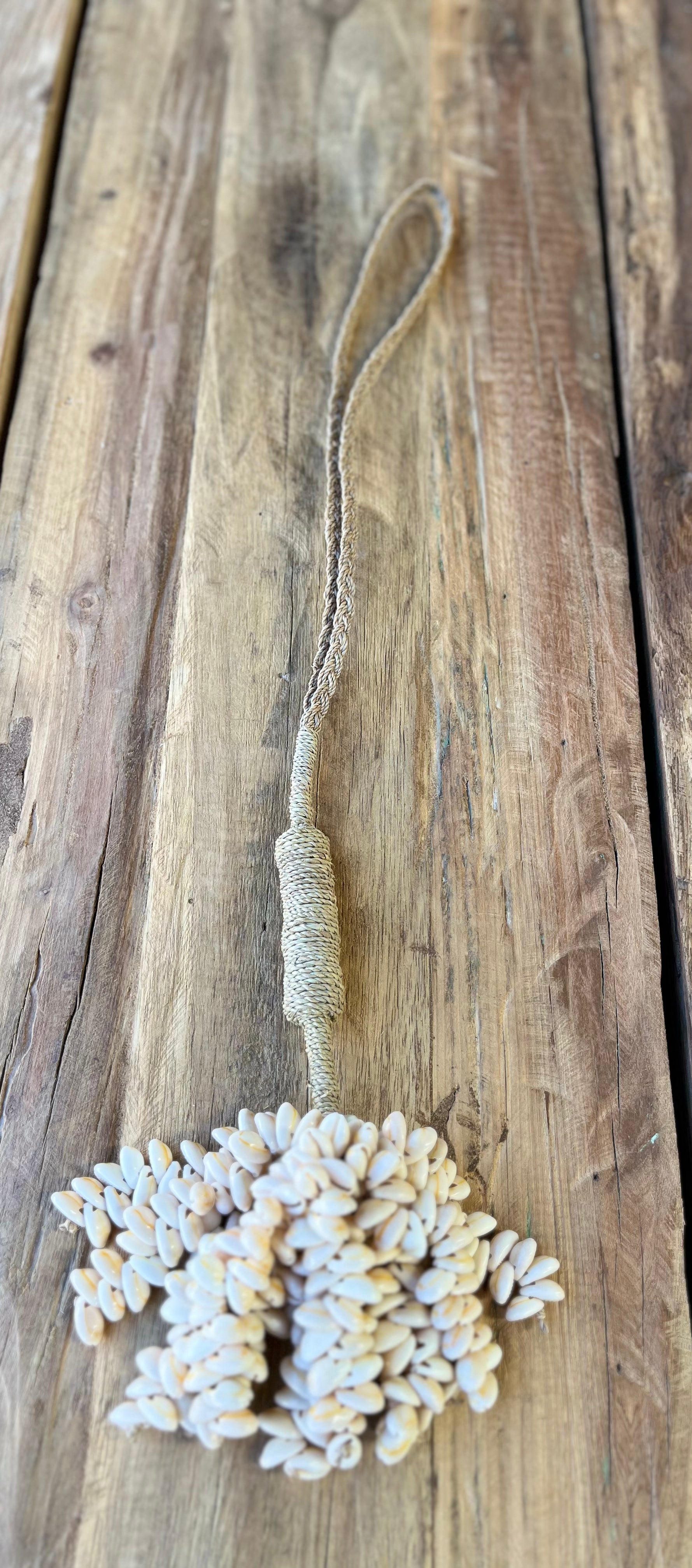 Long natural shell cluster - Bali Beach Beyond