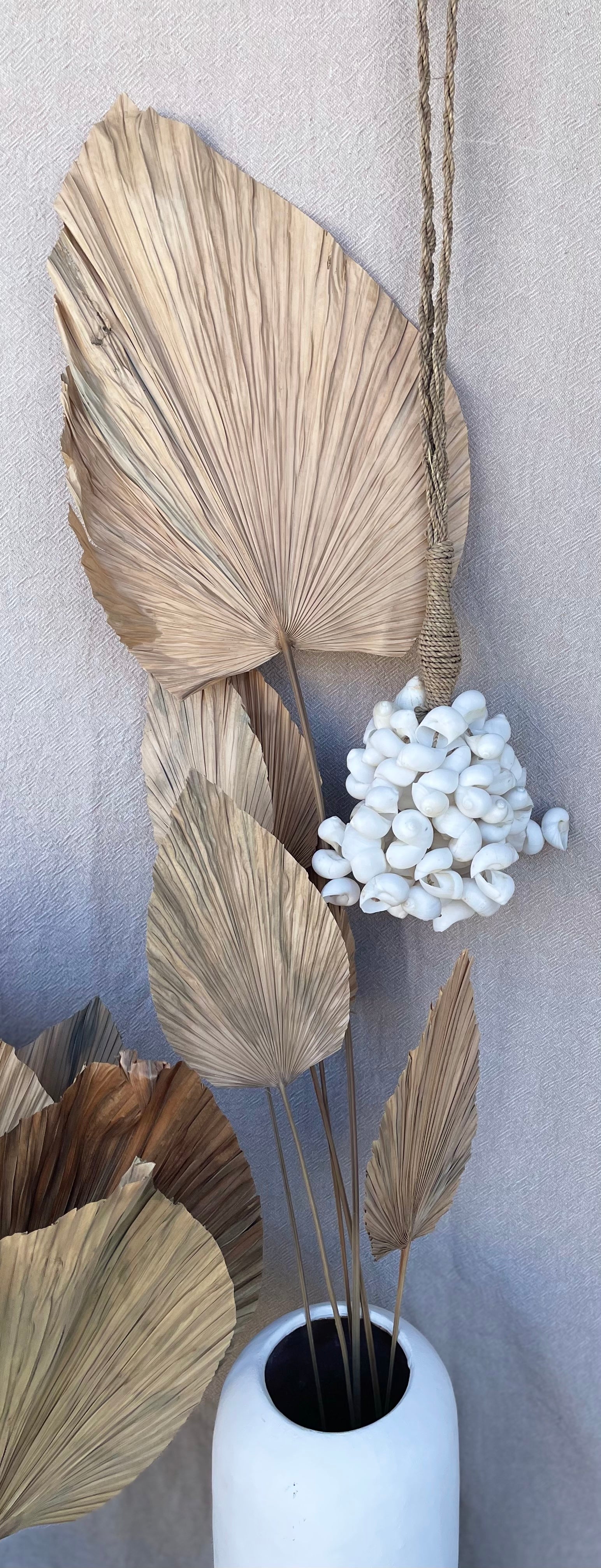 White shell cluster - Bali Beach Beyond