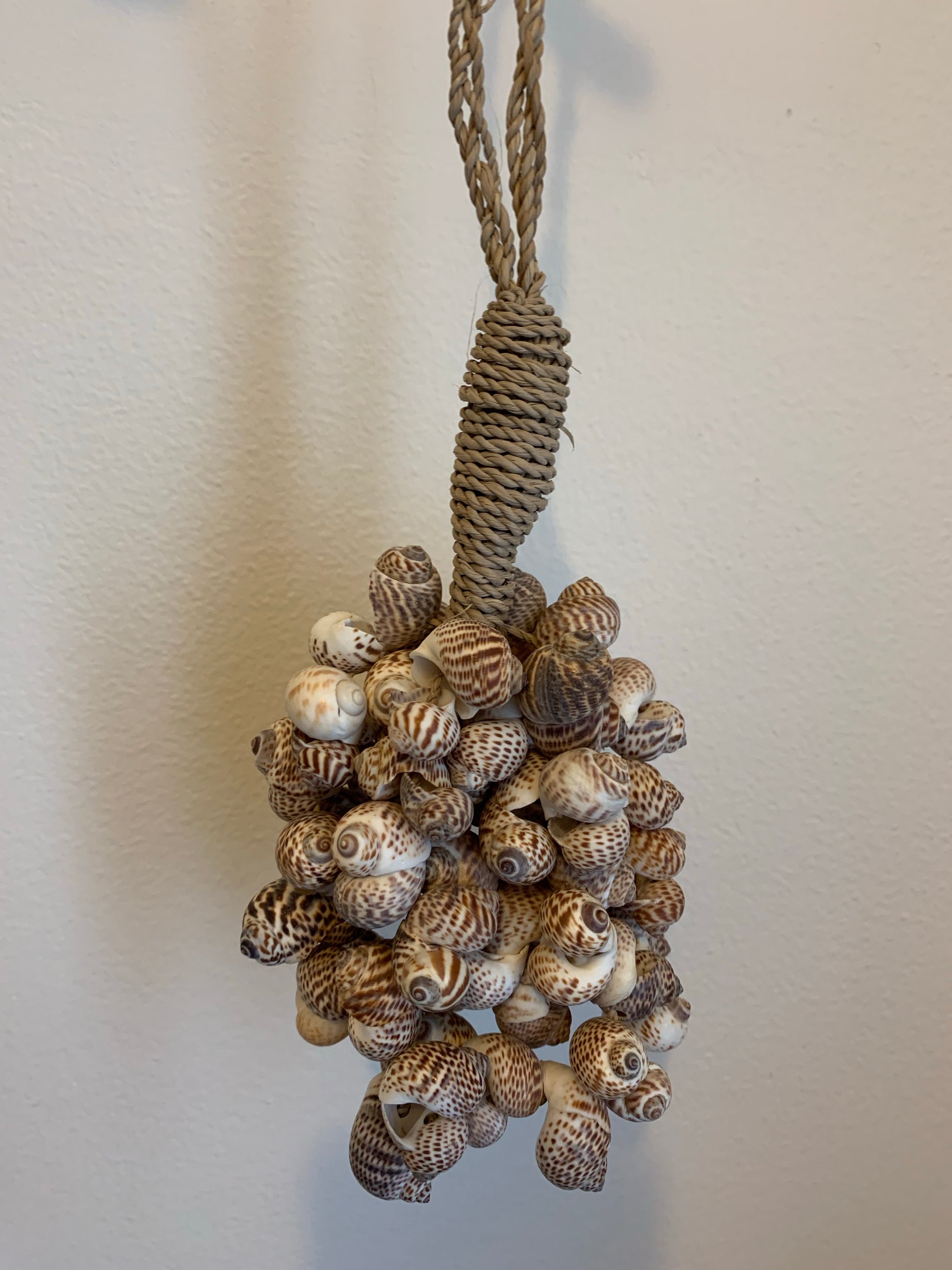 Shell cluster brown - Bali Beach Beyond