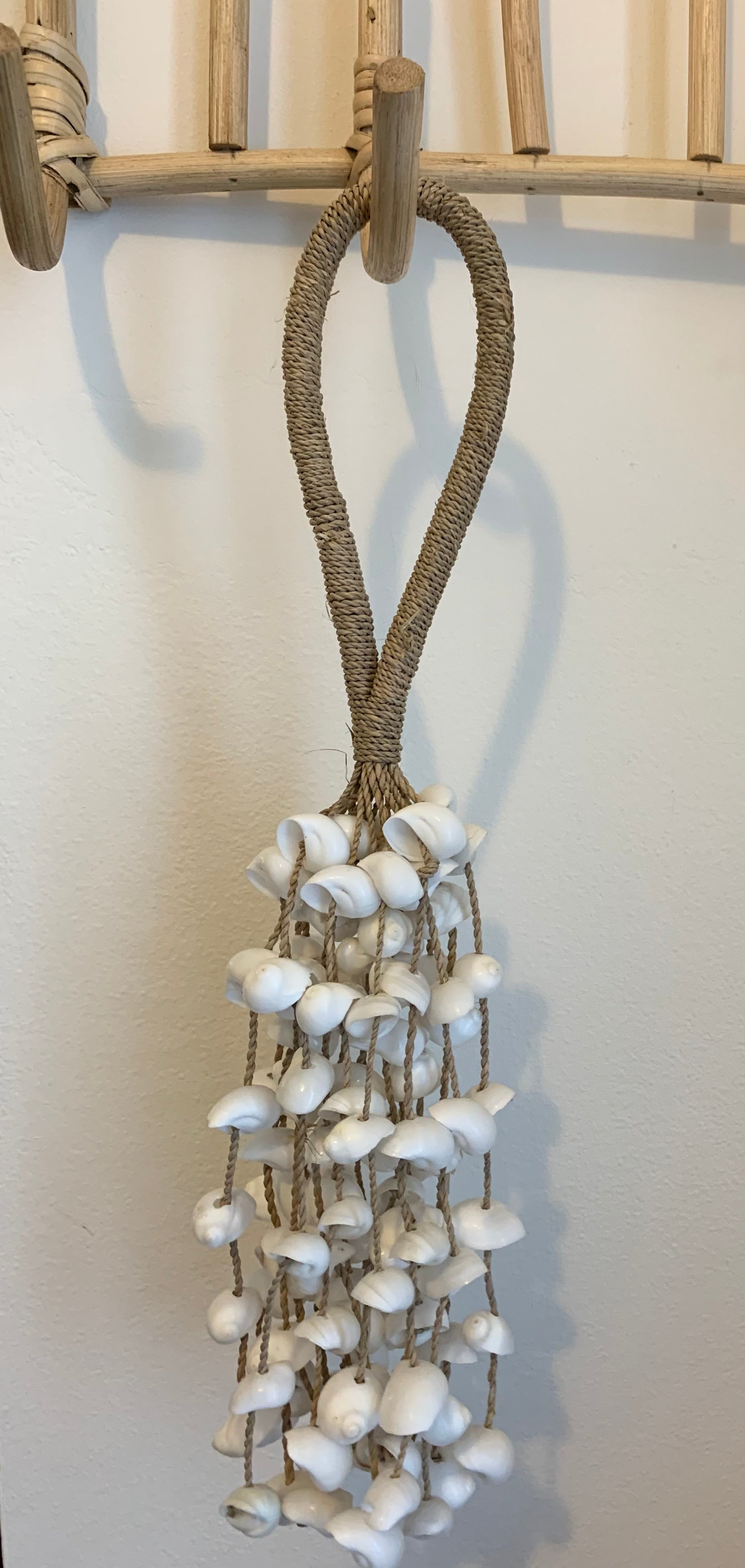 Shell cluster separated. 35cm - Bali Beach Beyond