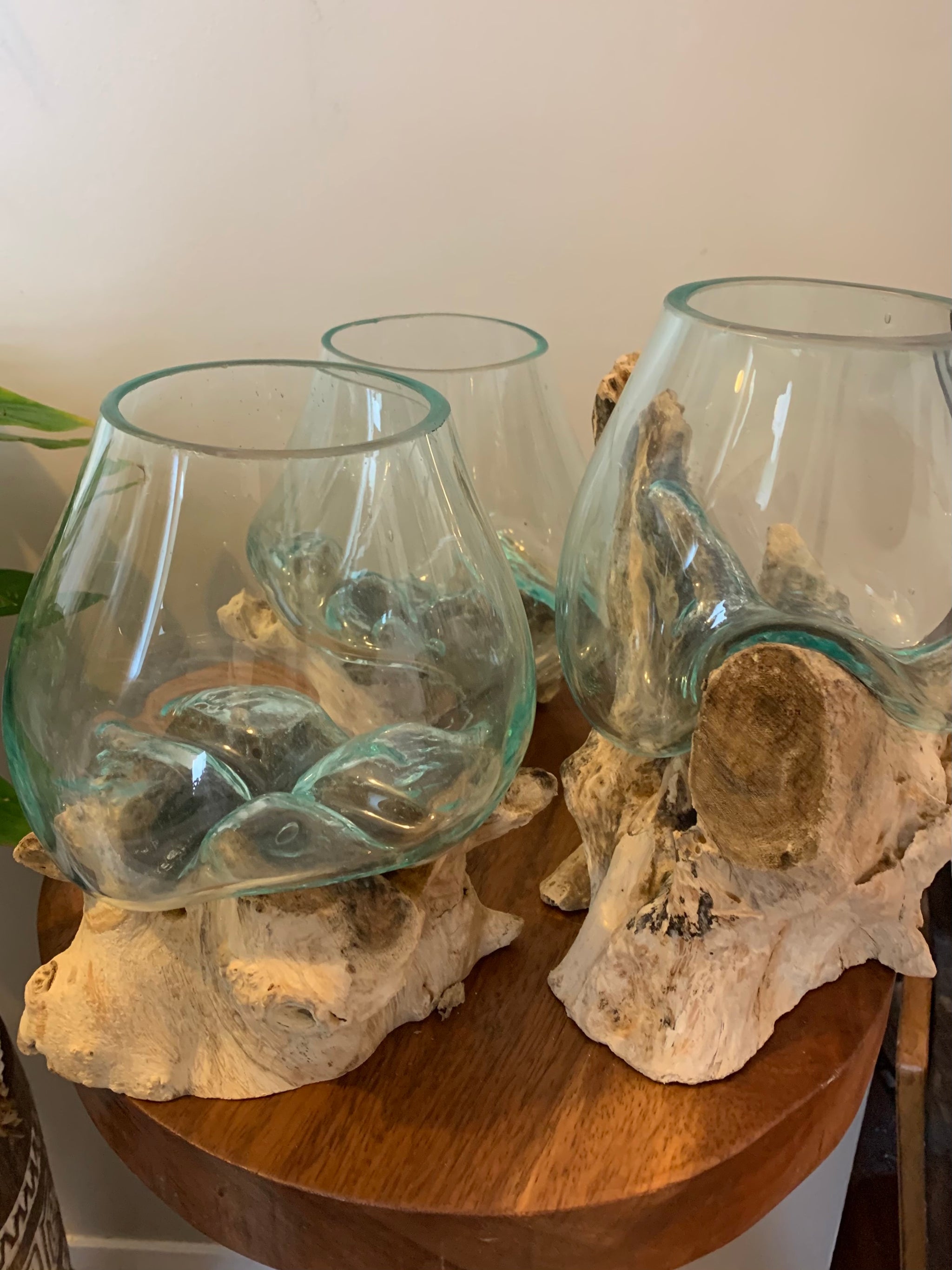 13cm aquarium / terranium. - Bali Beach Beyond