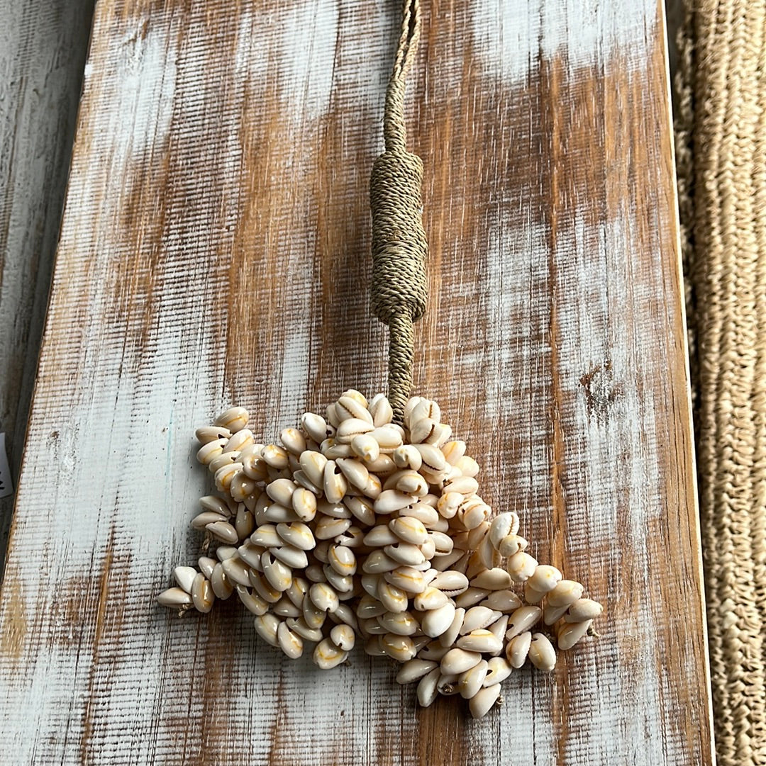 Long natural shell cluster - Bali Beach Beyond