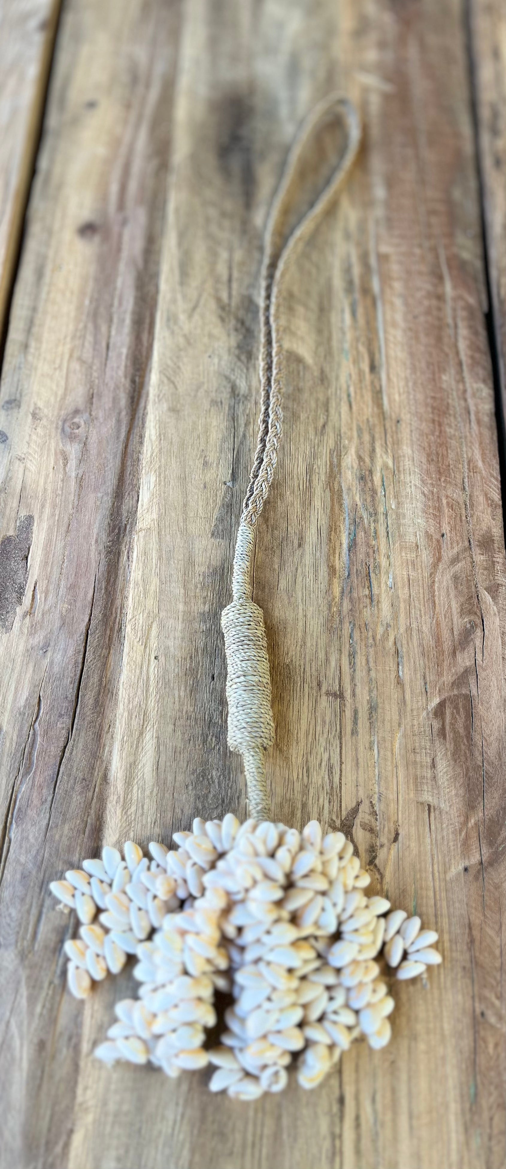 Long natural shell cluster - Bali Beach Beyond