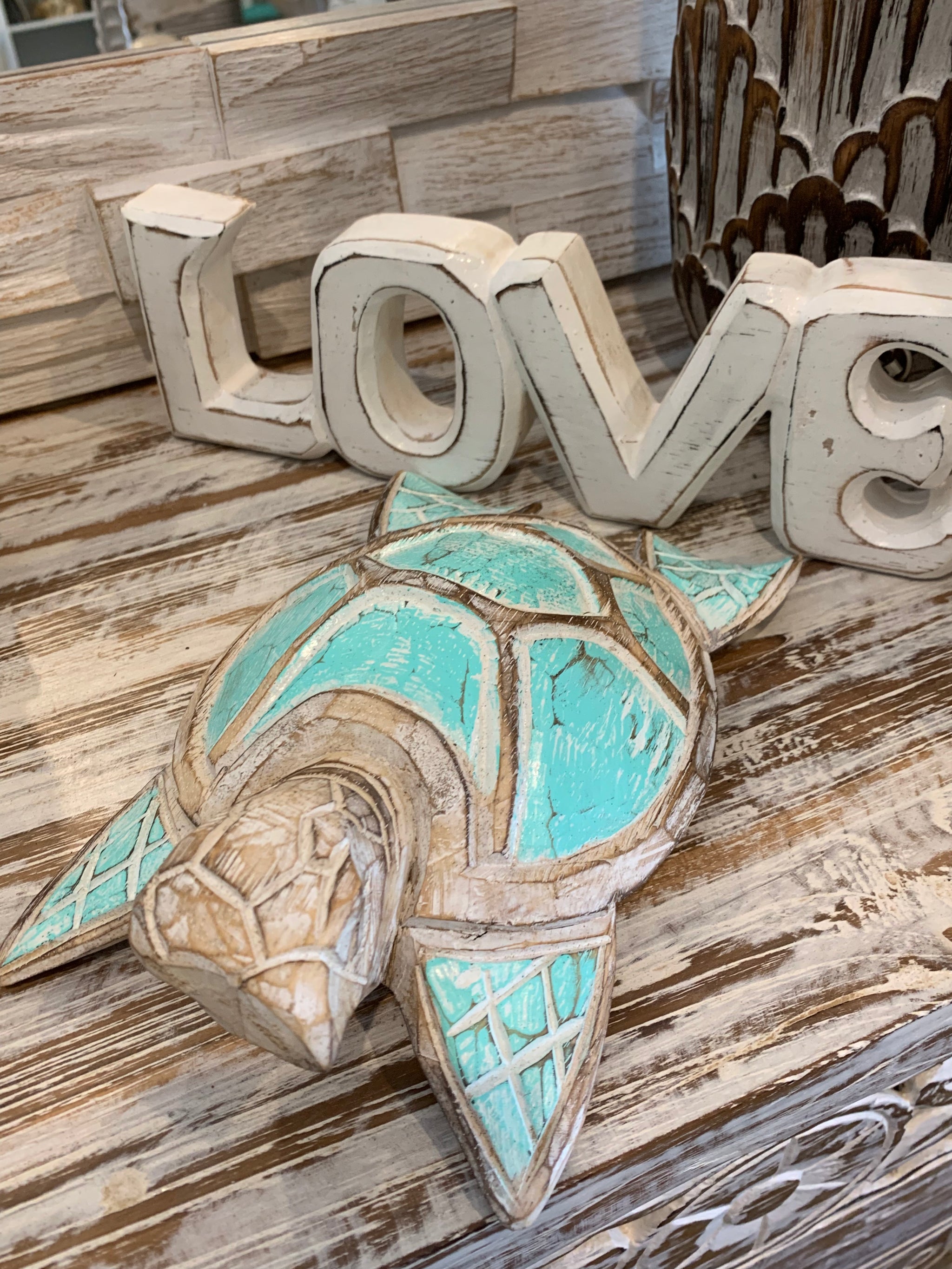 Medium turquoise timber turtle. - Bali Beach Beyond