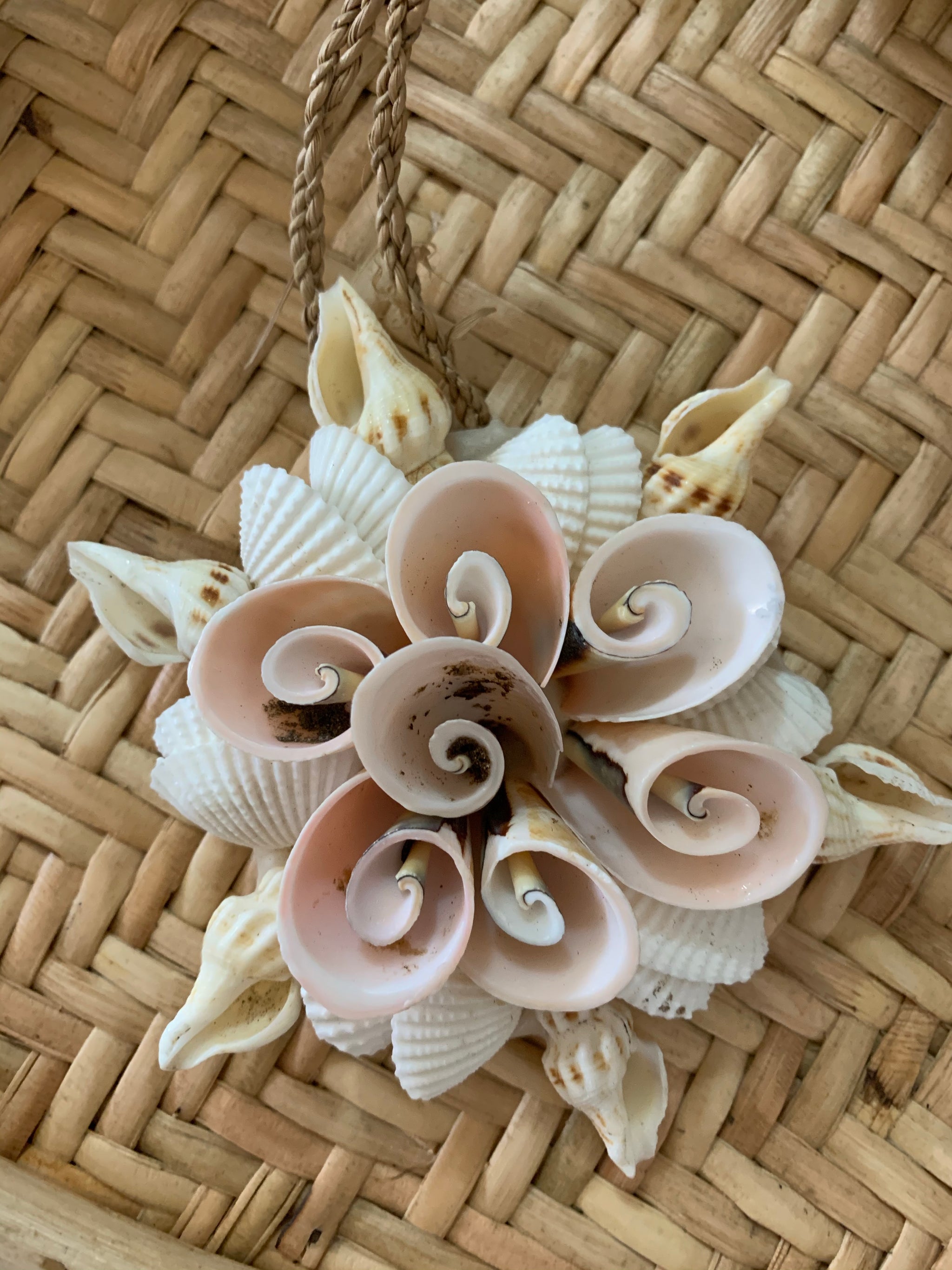 Shell decoration / hanging. 9cm - Bali Beach Beyond