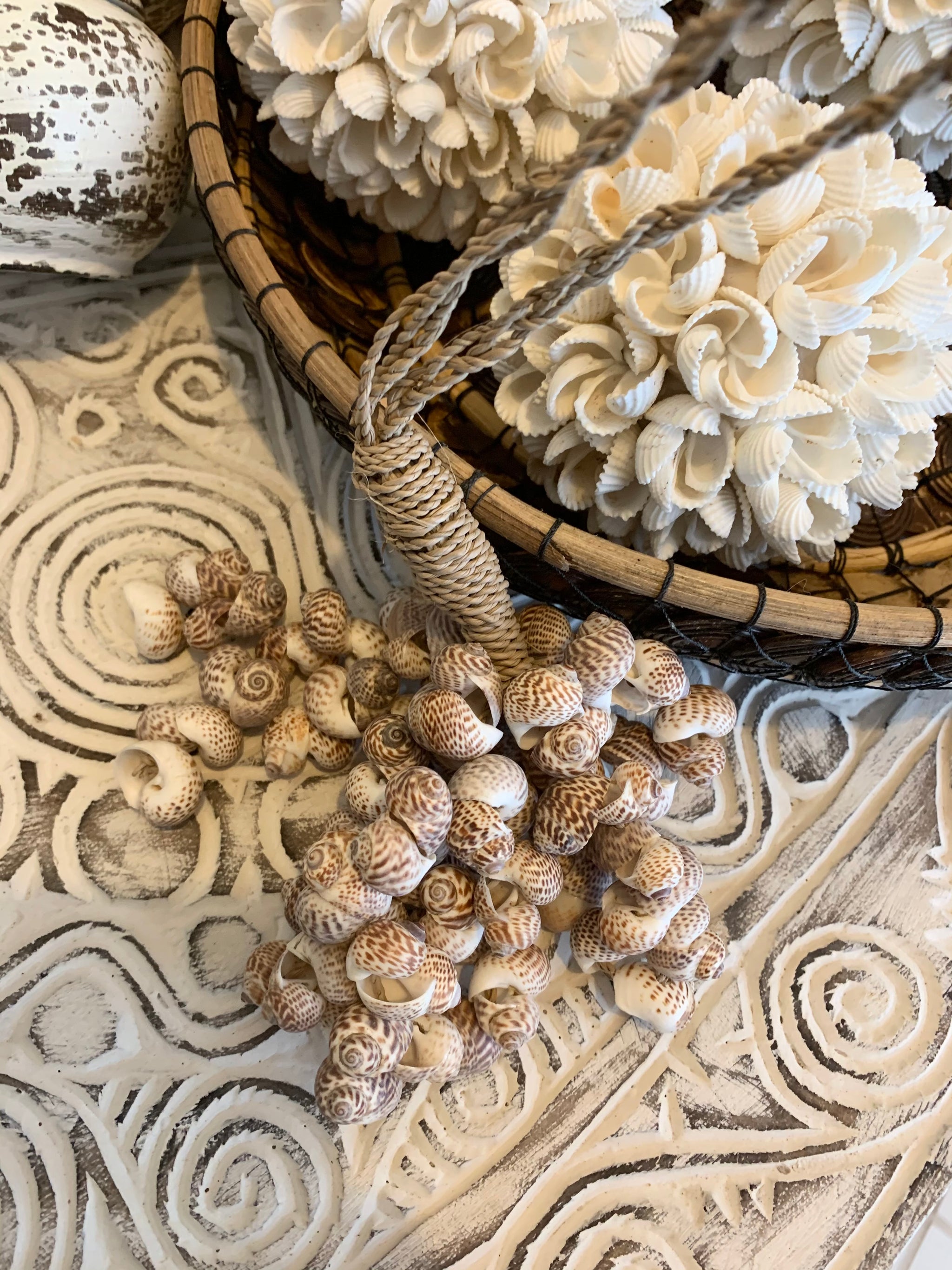 Shell cluster brown - Bali Beach Beyond