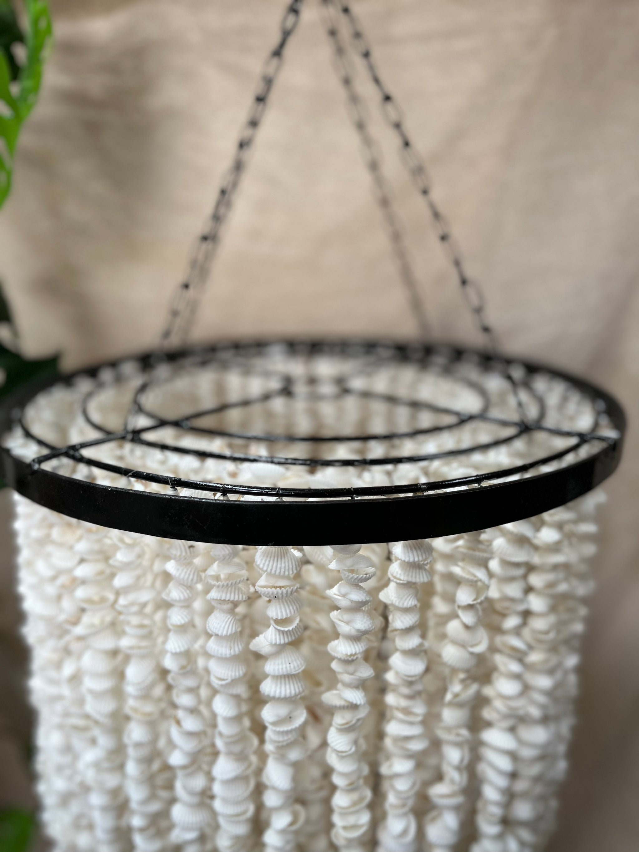 Shell Hanging / light pendant / Shell pendant. Chandelier. 60cm - Bali Beach Beyond