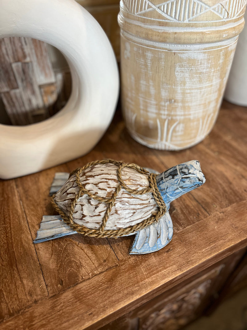 Coconut turtle. Blue and white