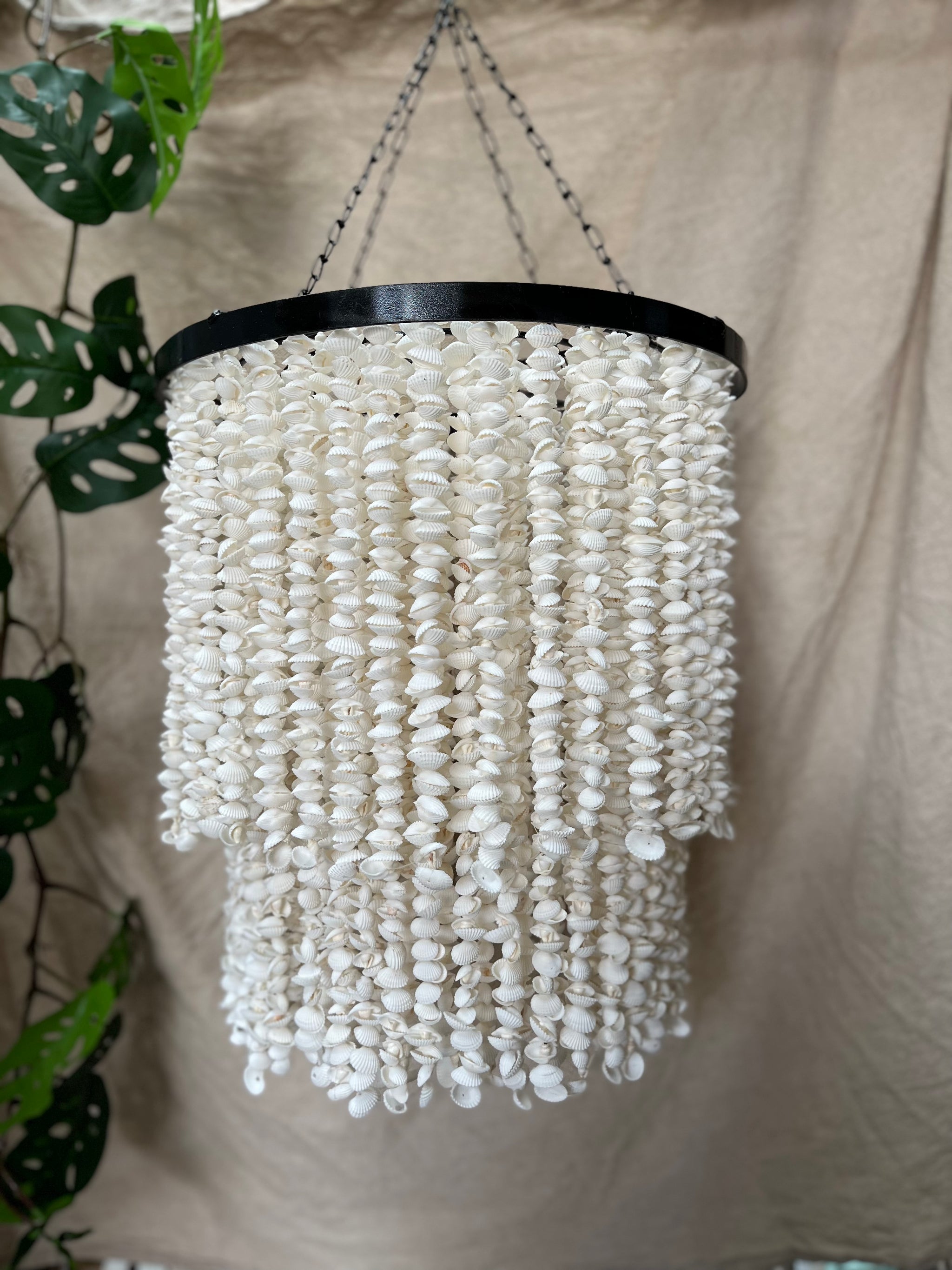 Shell Hanging / light pendant / Shell pendant. Chandelier. 40cm - Bali Beach Beyond