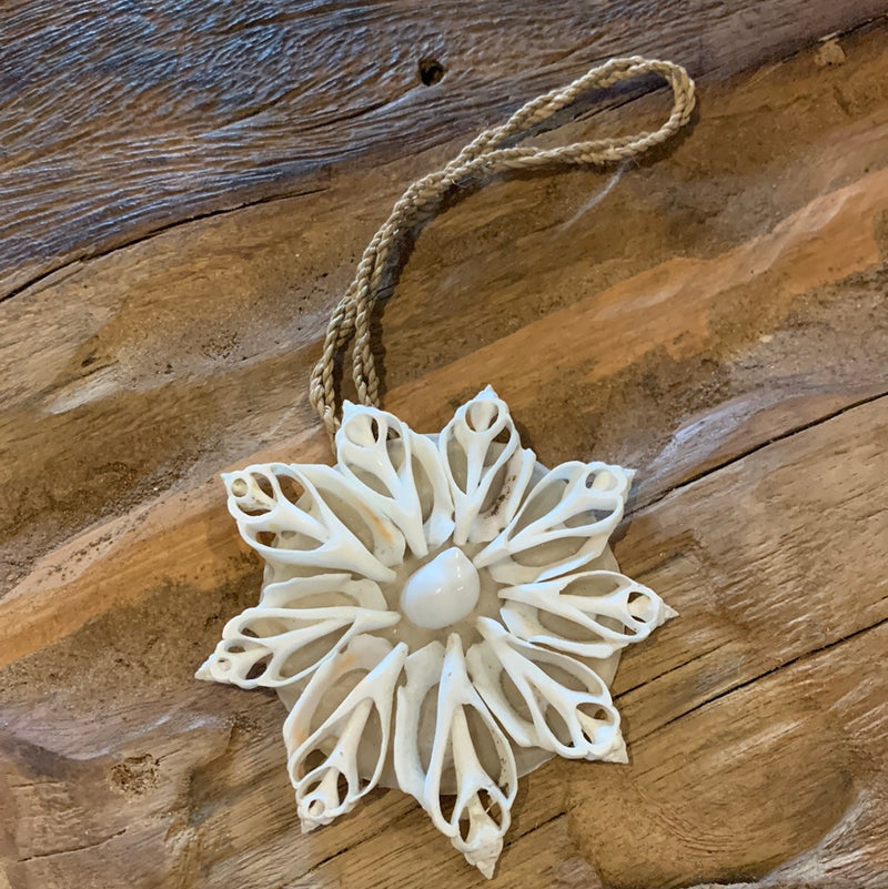 White decorative shell decoration. 9cm