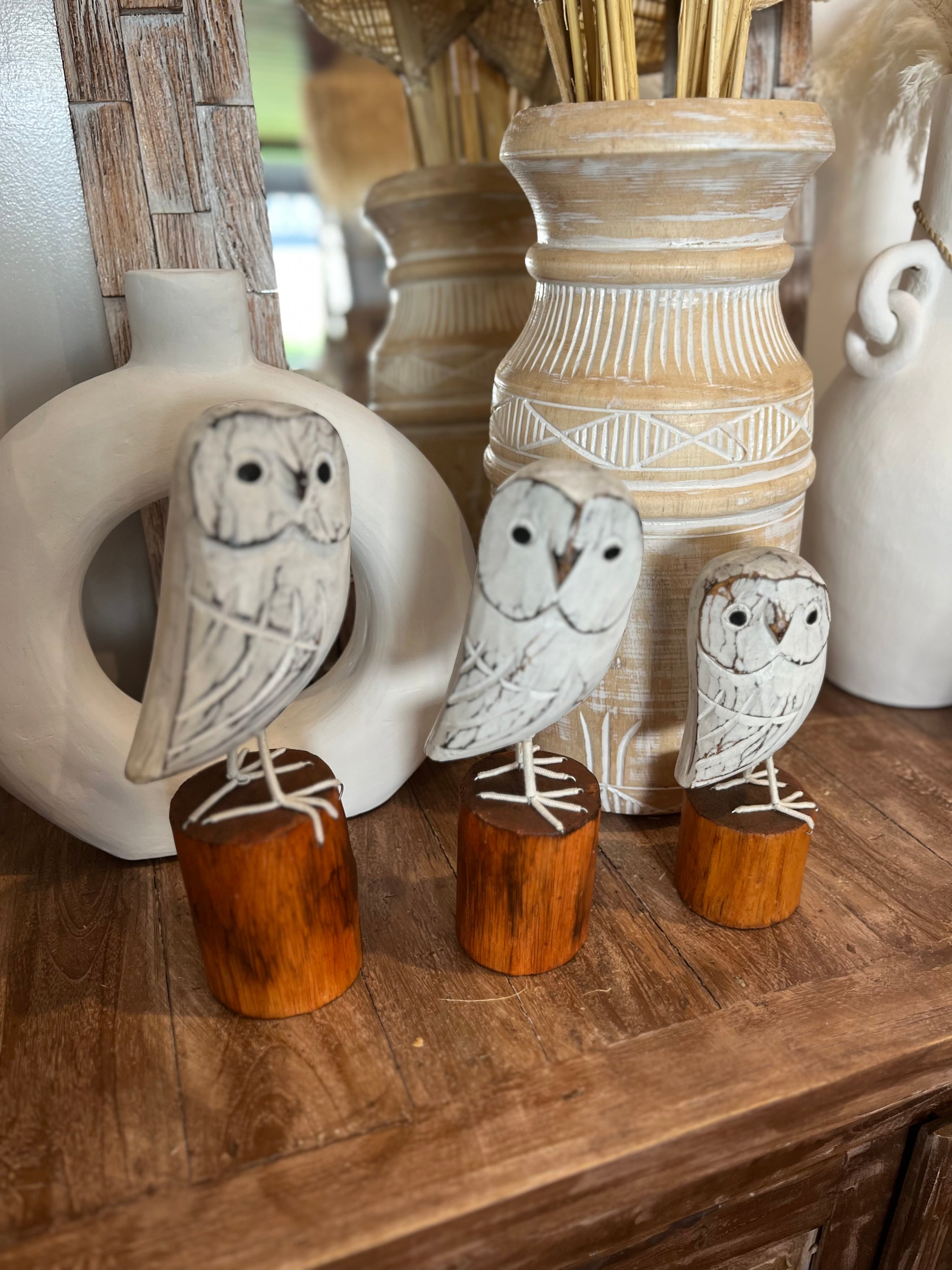 Set of 3 White timber owl on natural stand