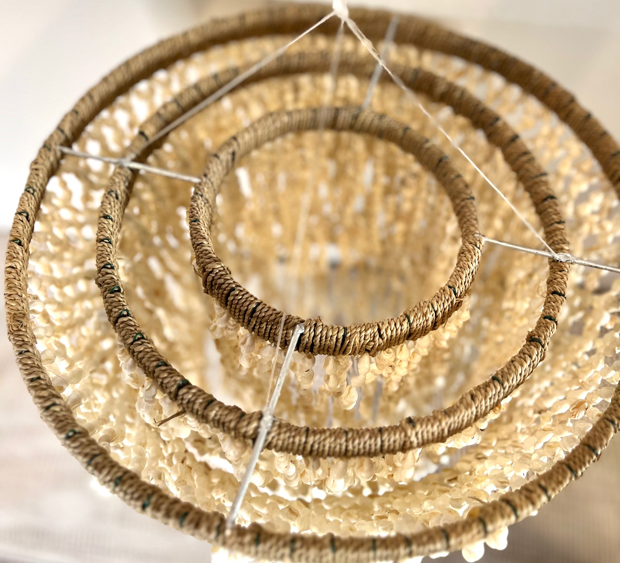 Shell Hanging / light pendant / Shell pendant. Chandelier - Bali Beach Beyond