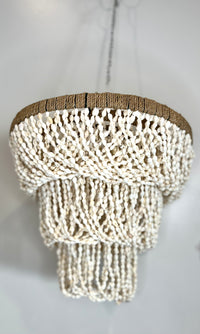 Shell Hanging / light pendant / Shell pendant. Chandelier