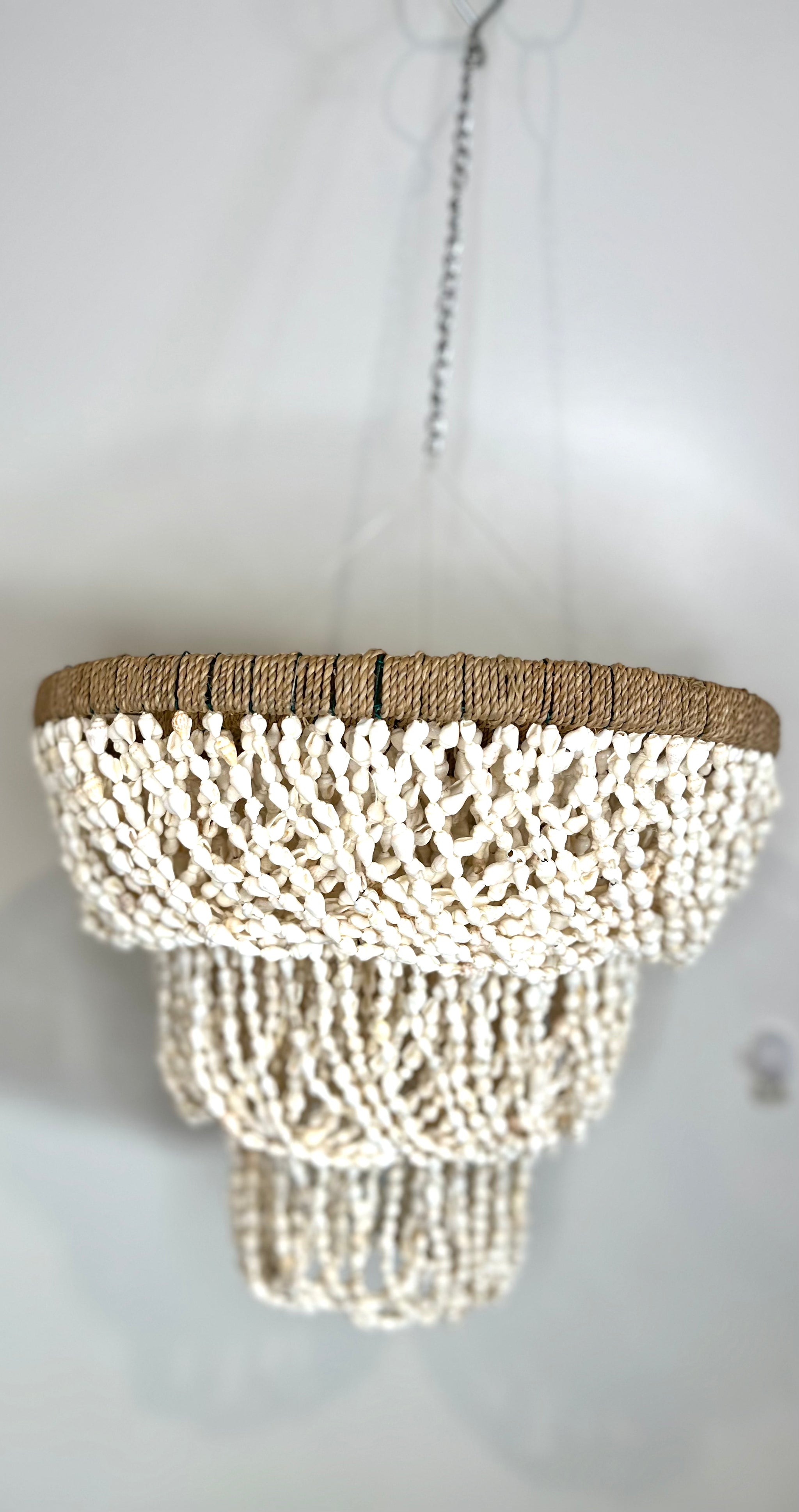 Shell Hanging / light pendant / Shell pendant. Chandelier - Bali Beach Beyond