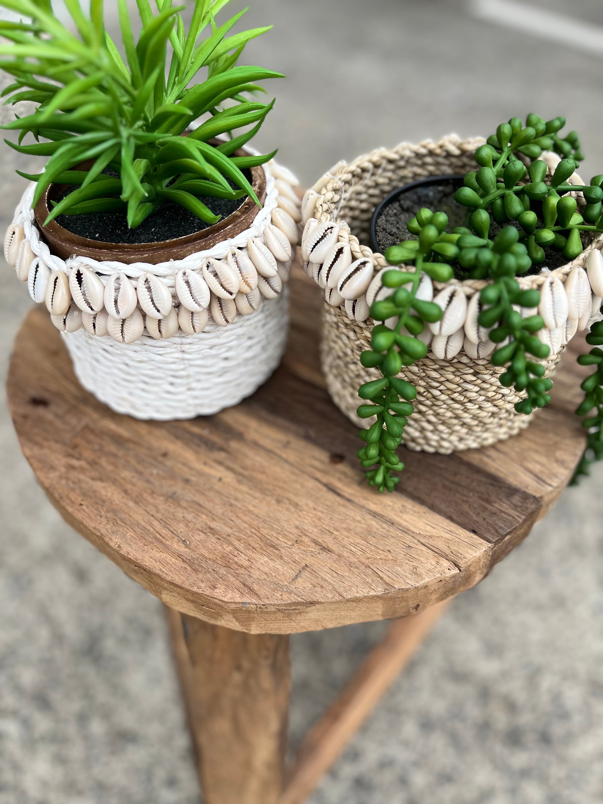 White basket with shell detail