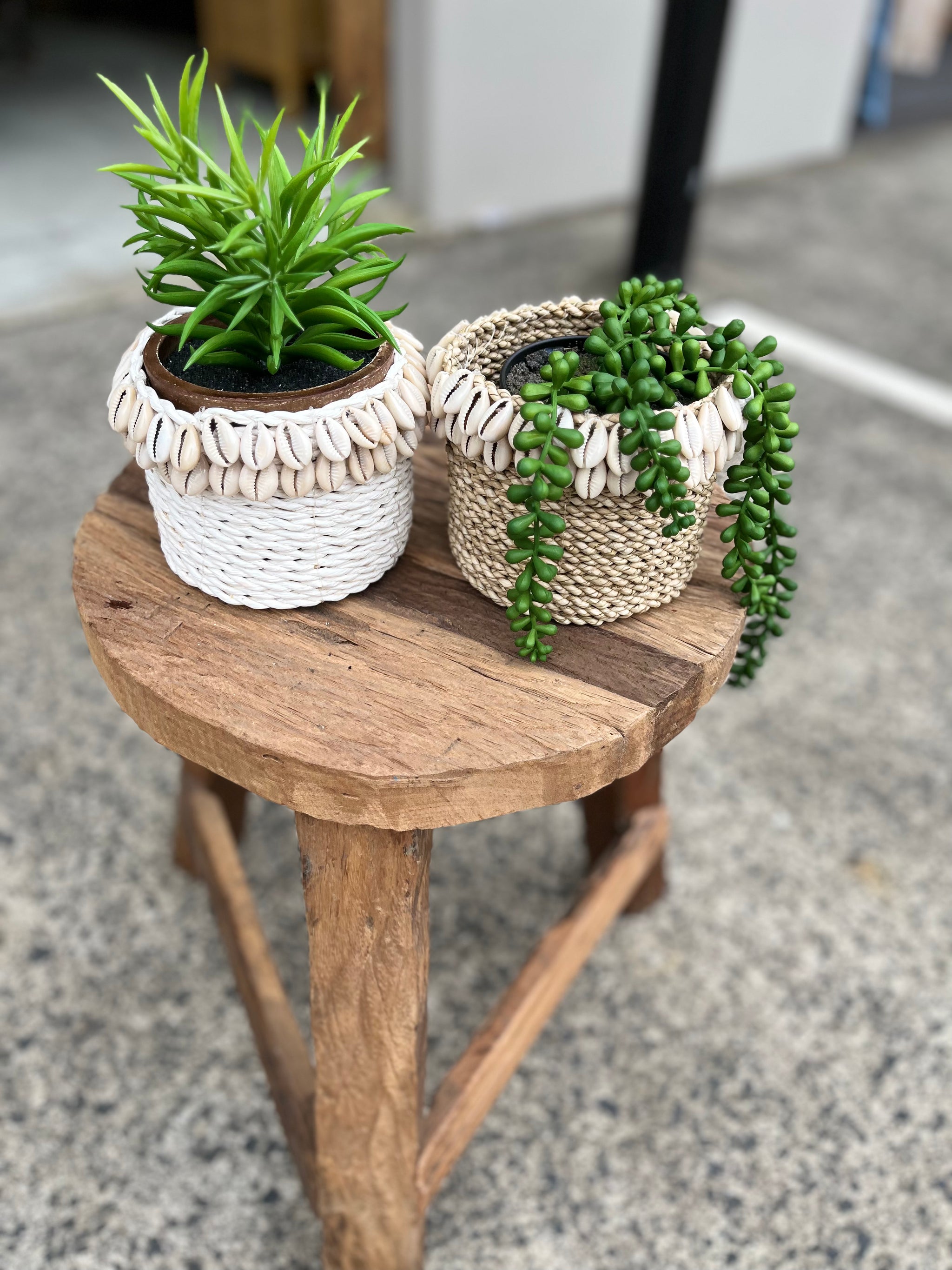 White basket with shell detail