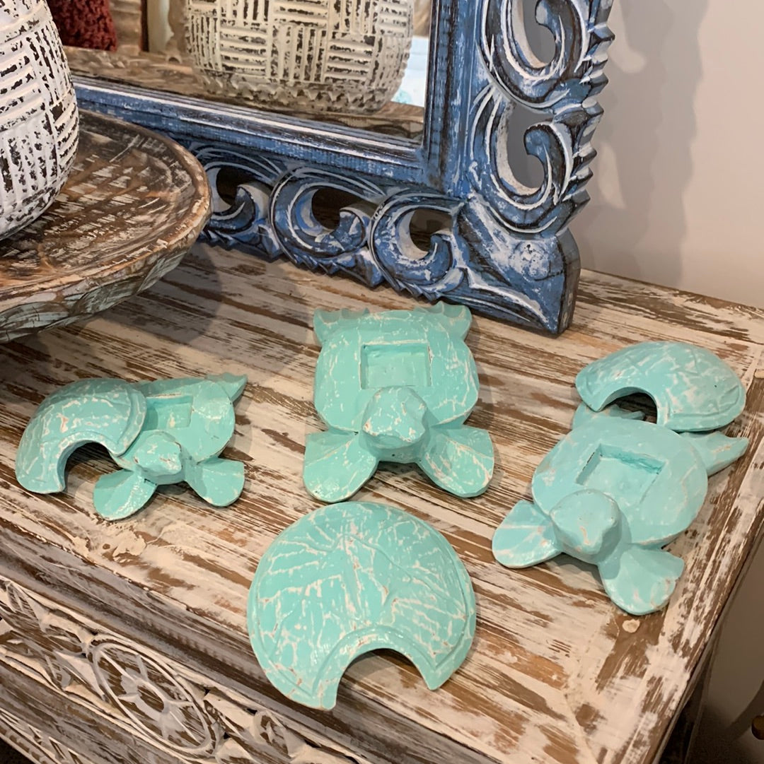 Turquoise timber turtles Set 3