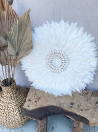 White juju with white shell detail.  L